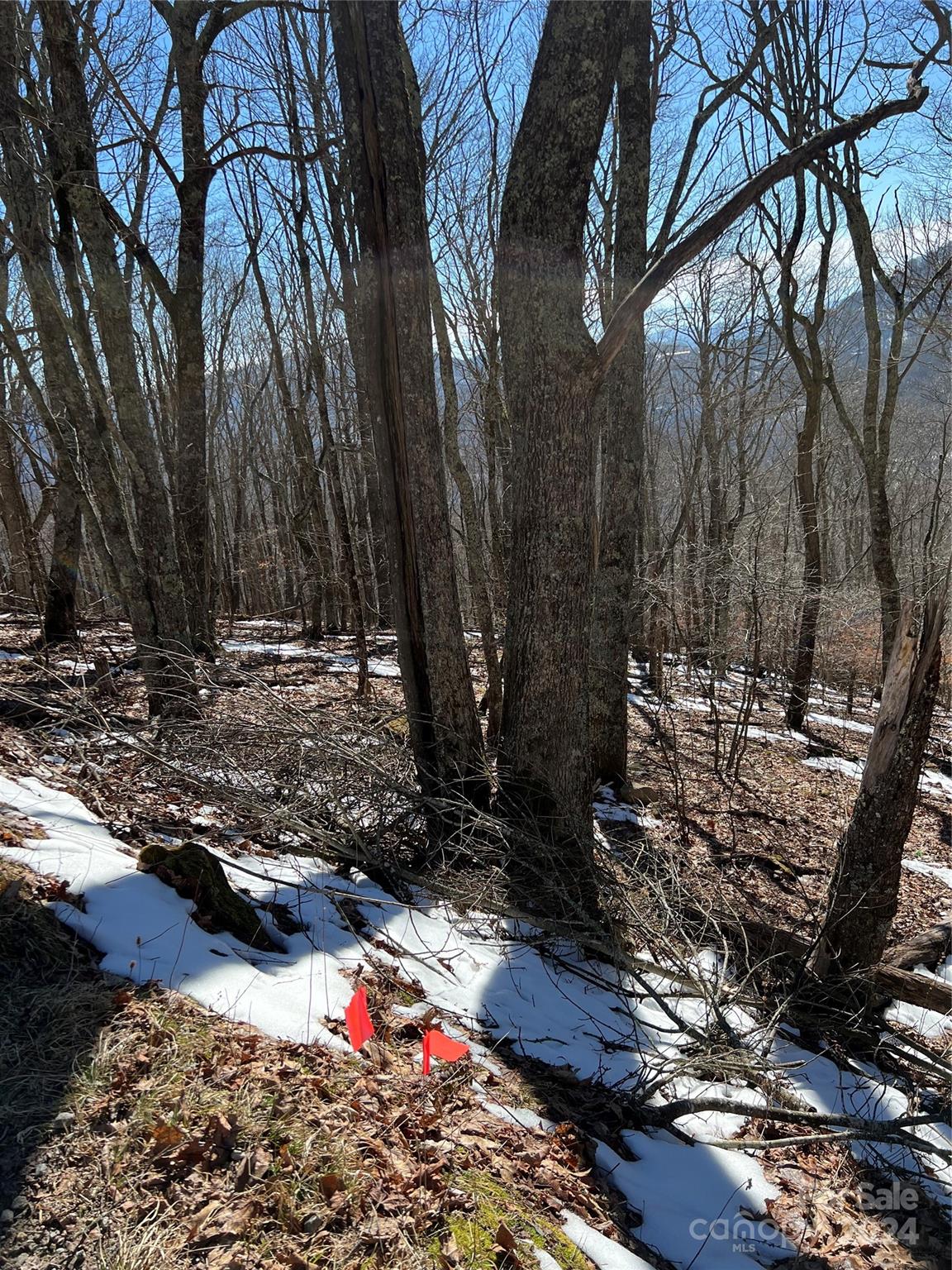 Property image 1 at 00 Tearshirt Lane, Mars Hill, NC 28754