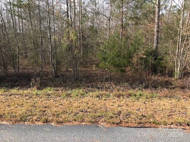 Property image 4 at 00 Woodstock Lane, Rutherfordton, NC 28139