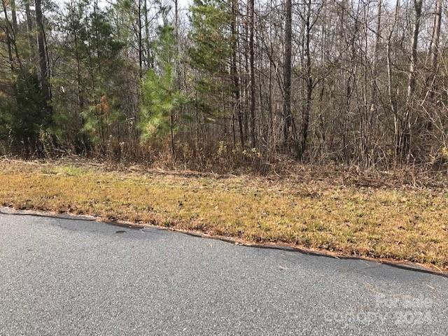 Property image 5 at 00 Woodstock Lane, Rutherfordton, NC 28139