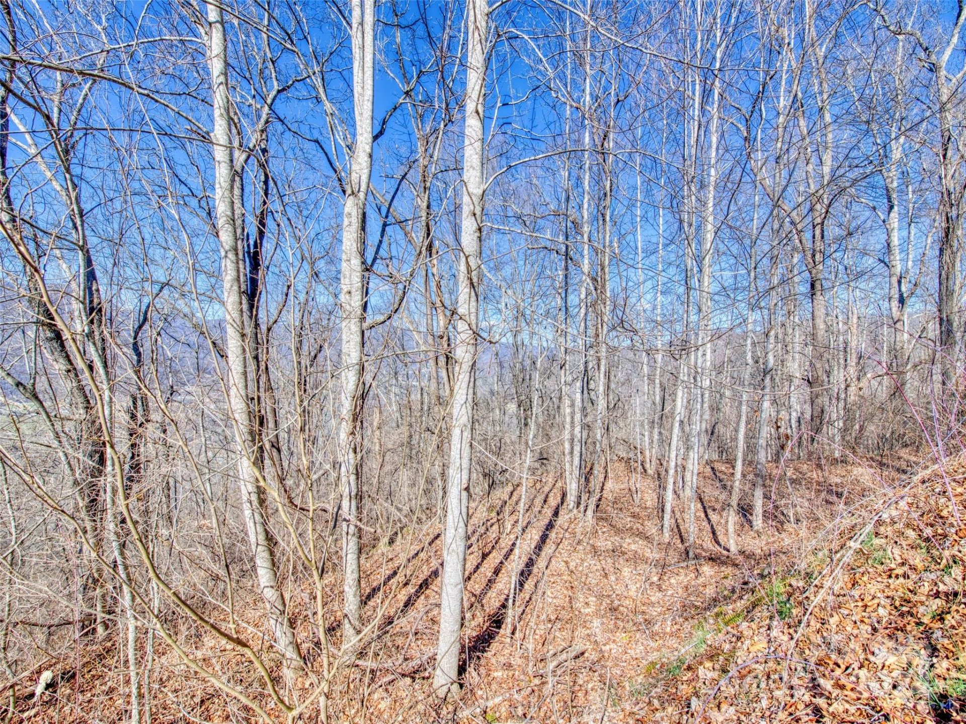 Property image 5 at 114 Trails End Lane, Waynesville, NC 28785