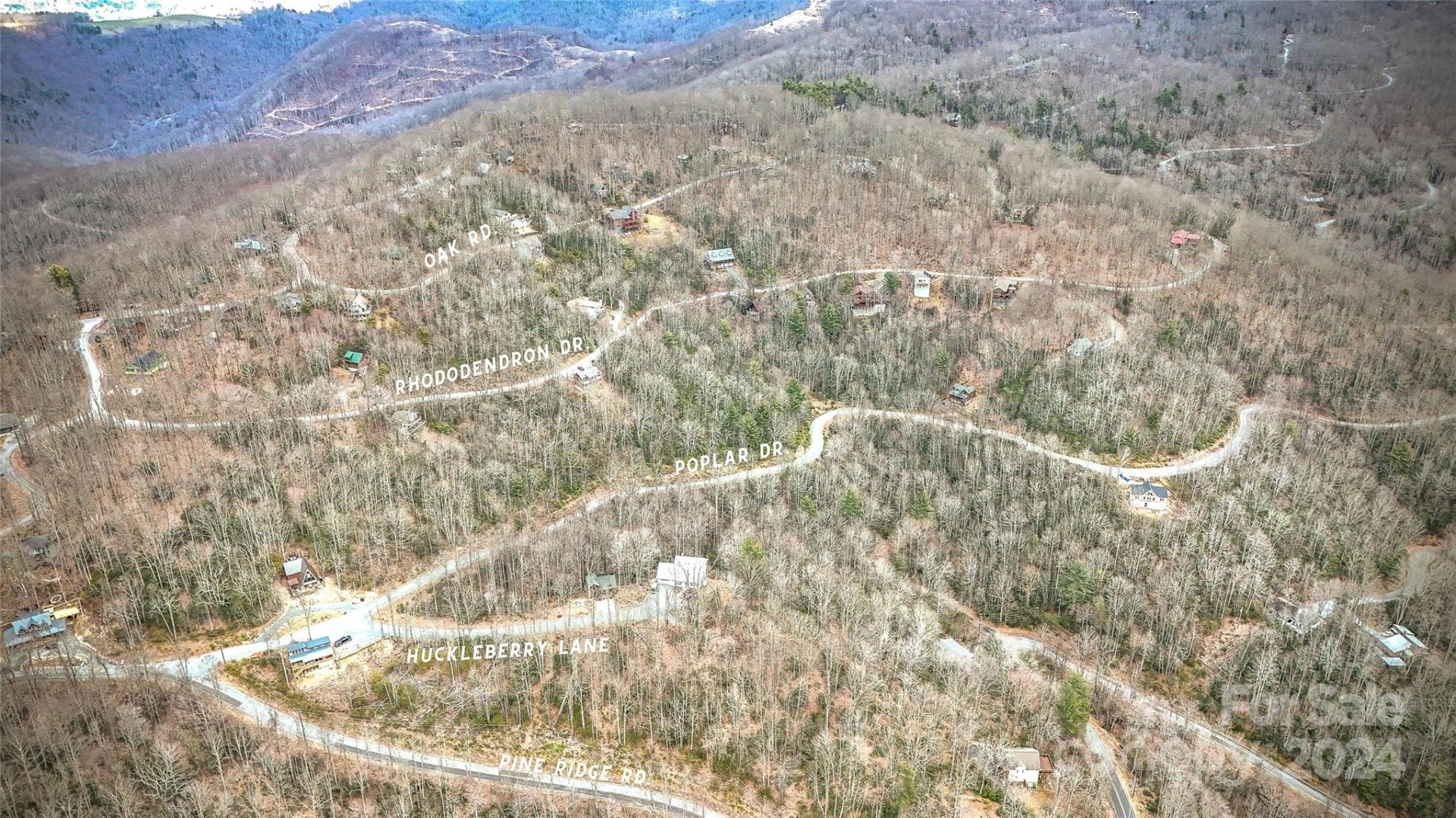 Property image 1 at 1121 Pine Ridge Road, Beech Mountain, NC 28604