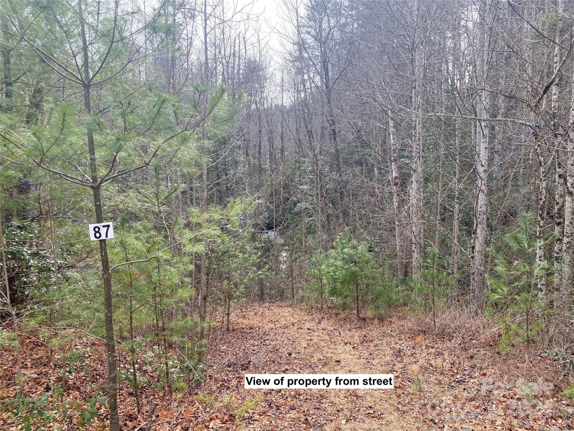 Property image 1 at Lot 87 Peppervine Circle, Rosman, NC 28772