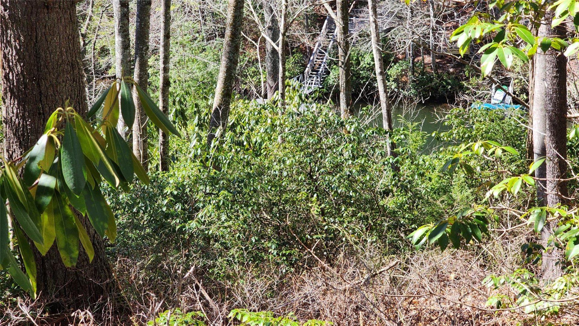 139 Golden Mist Court