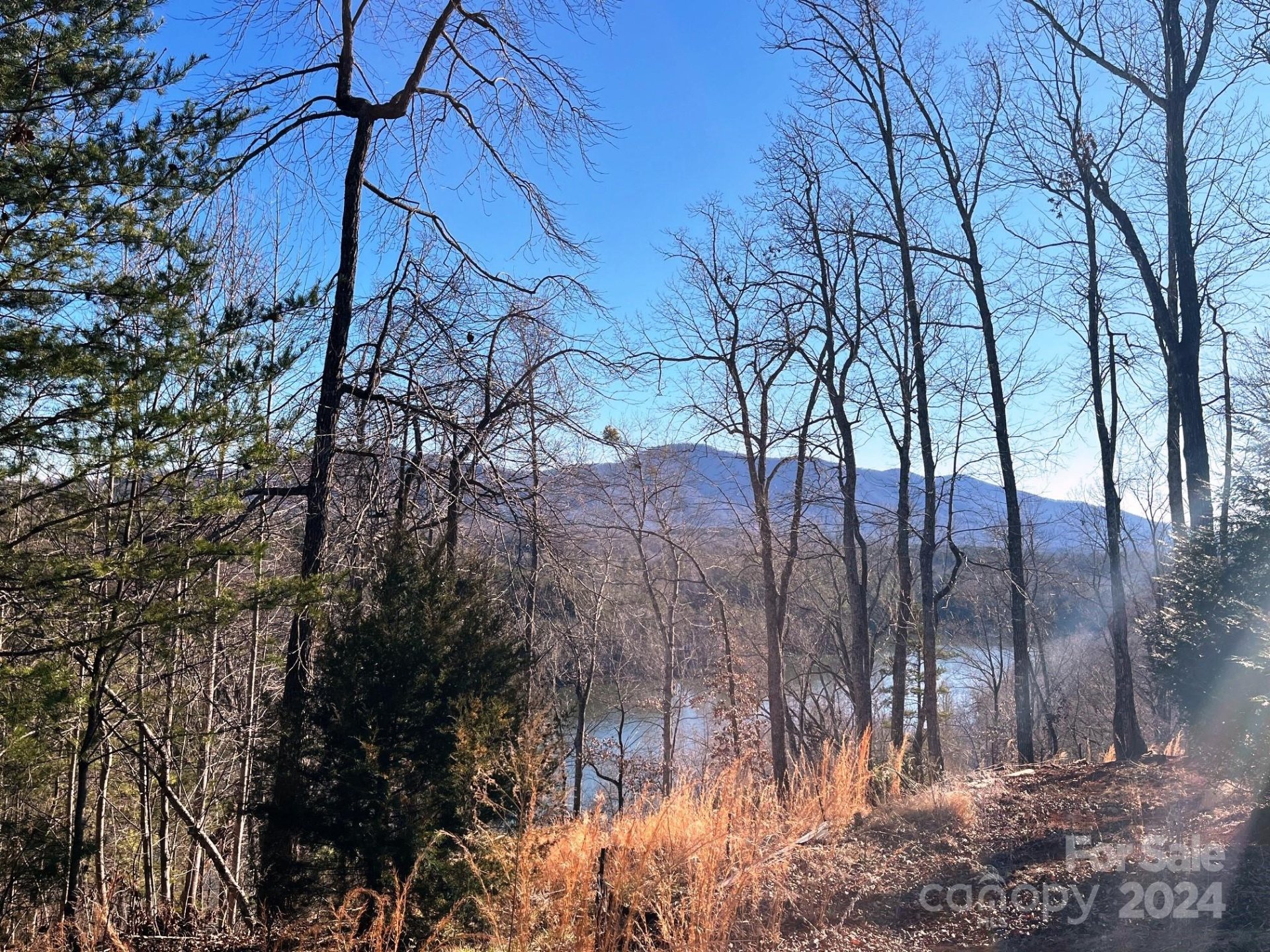 Property image 2 at Lot 30 Mountain Parkway, Mill Spring, NC 28756