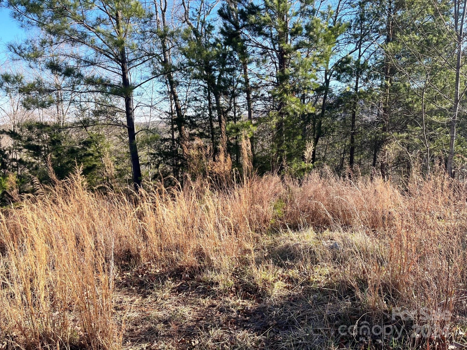 Property image 4 at Lot 30 Mountain Parkway, Mill Spring, NC 28756