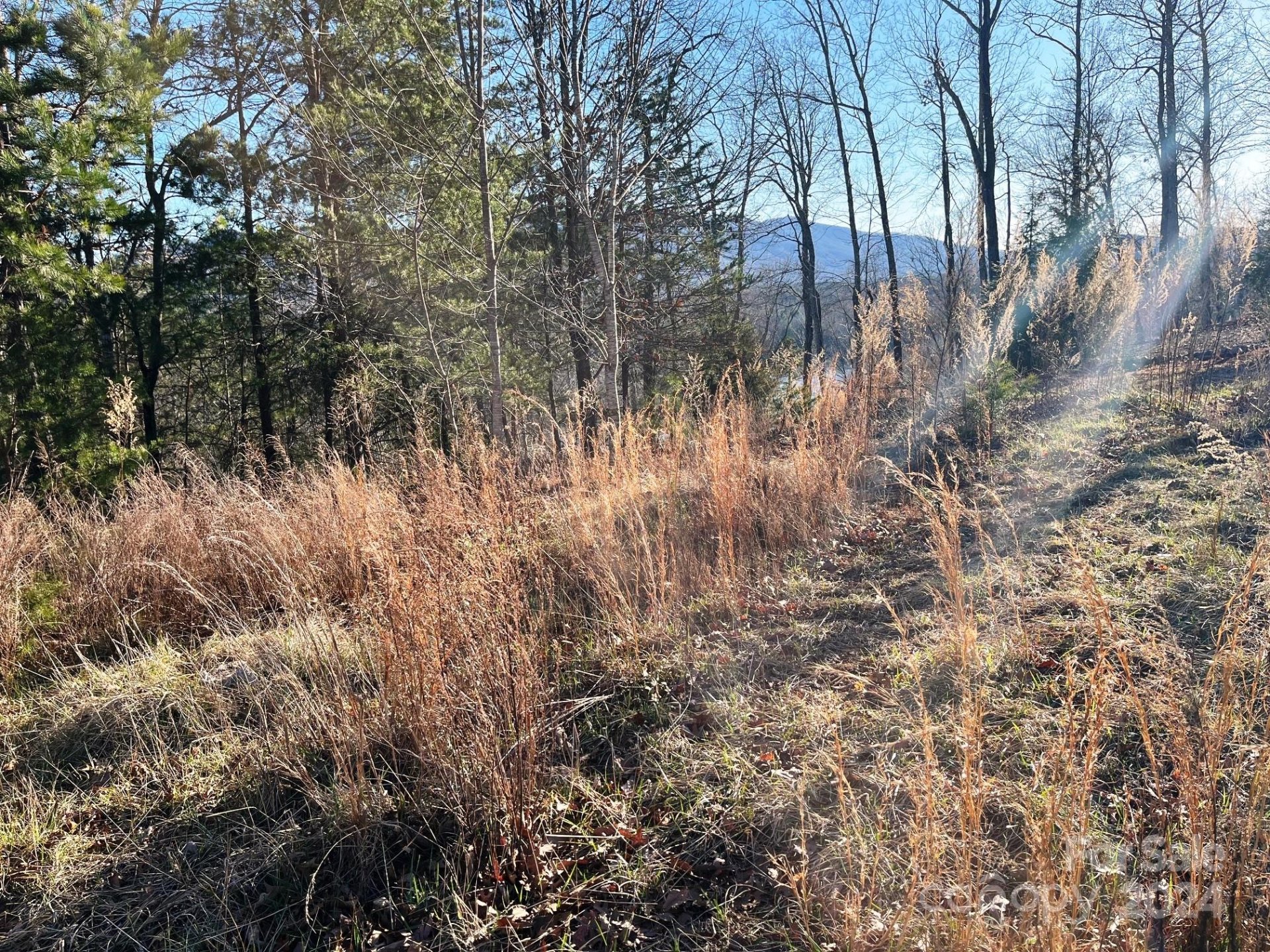 Property image 5 at Lot 30 Mountain Parkway, Mill Spring, NC 28756