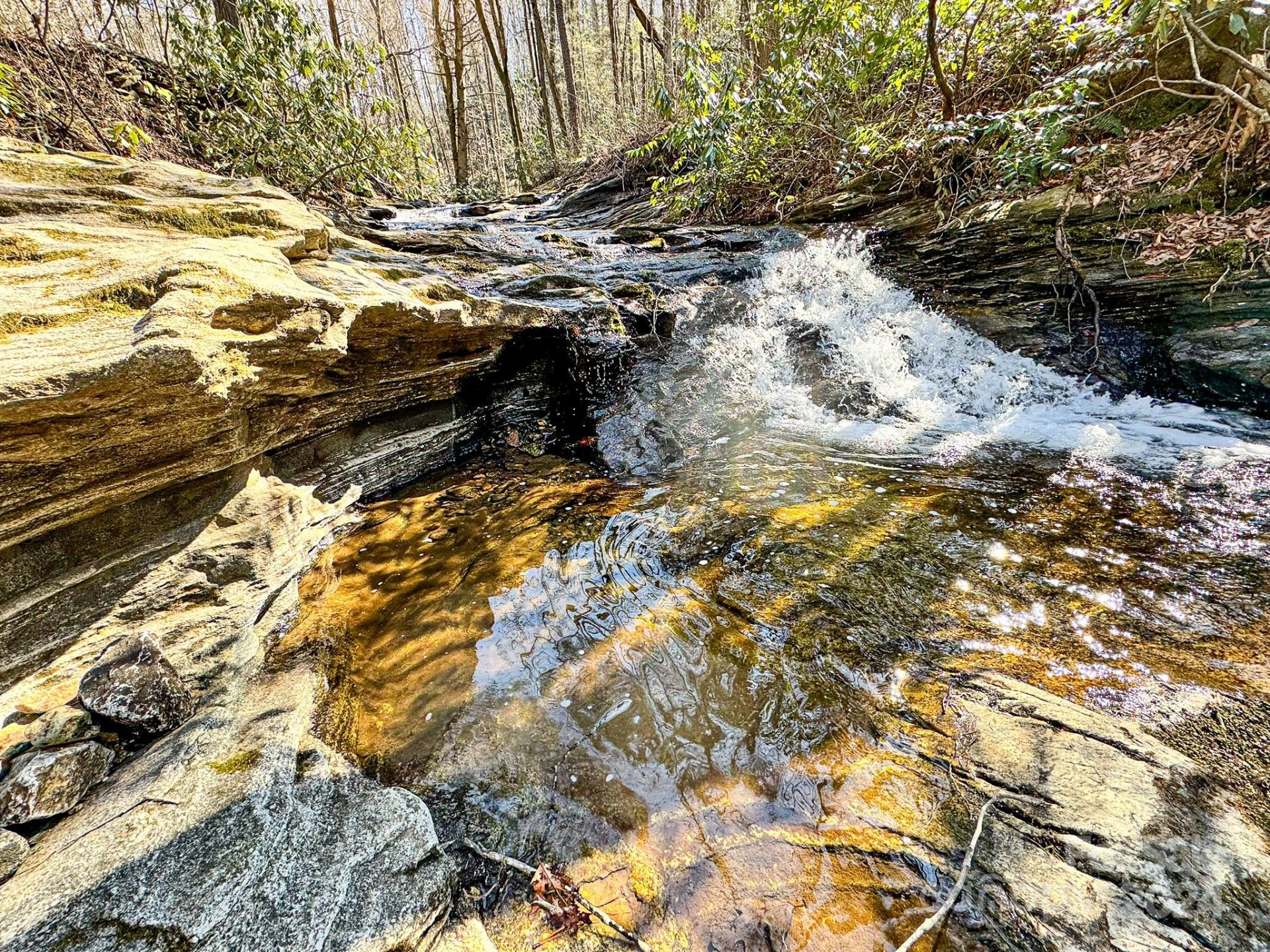 Property image 1 at 0000 Rixhaven Drive, Saluda, NC 28773