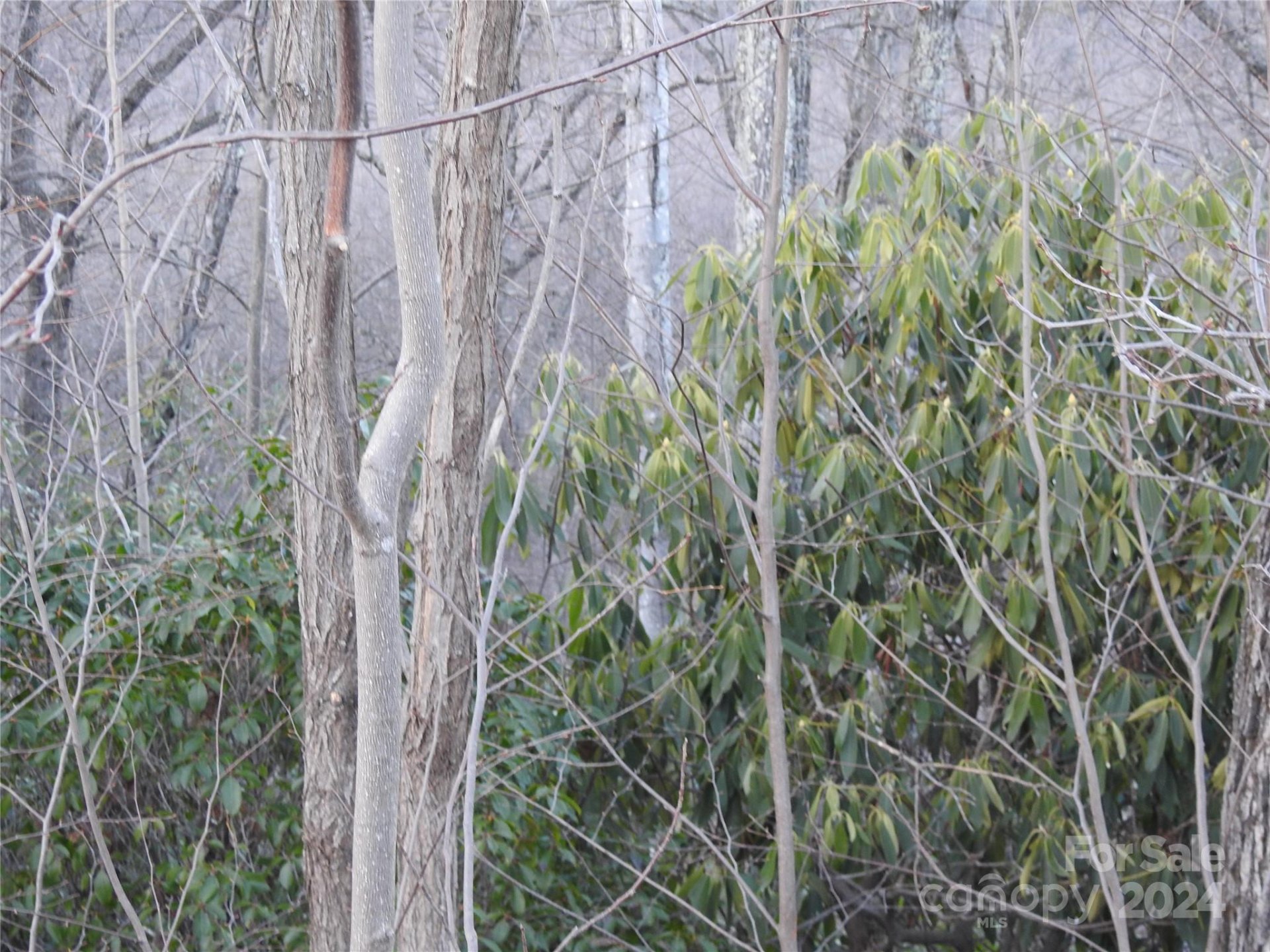 Property image 1 at 0 Rolling Ridge Trail, Lake Lure, NC 28746