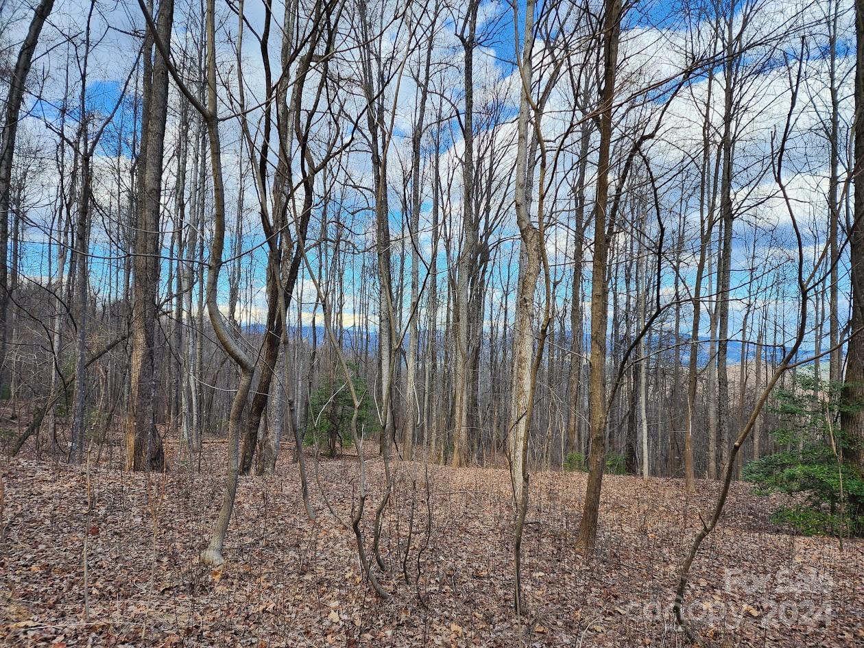 Property image 1 at 26 Summit Parkway, Bostic, NC 28018