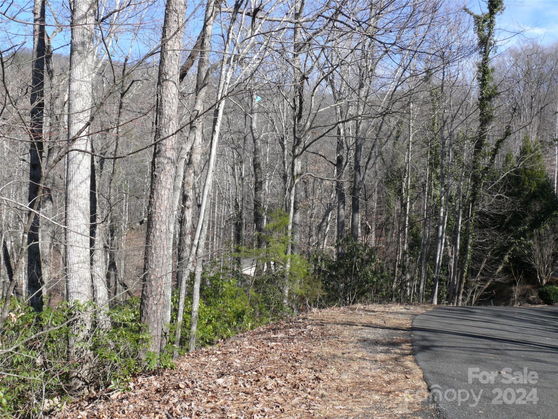 Property image 2 at Lot 56 Winesap Boulevard, Lake Lure, NC 28746