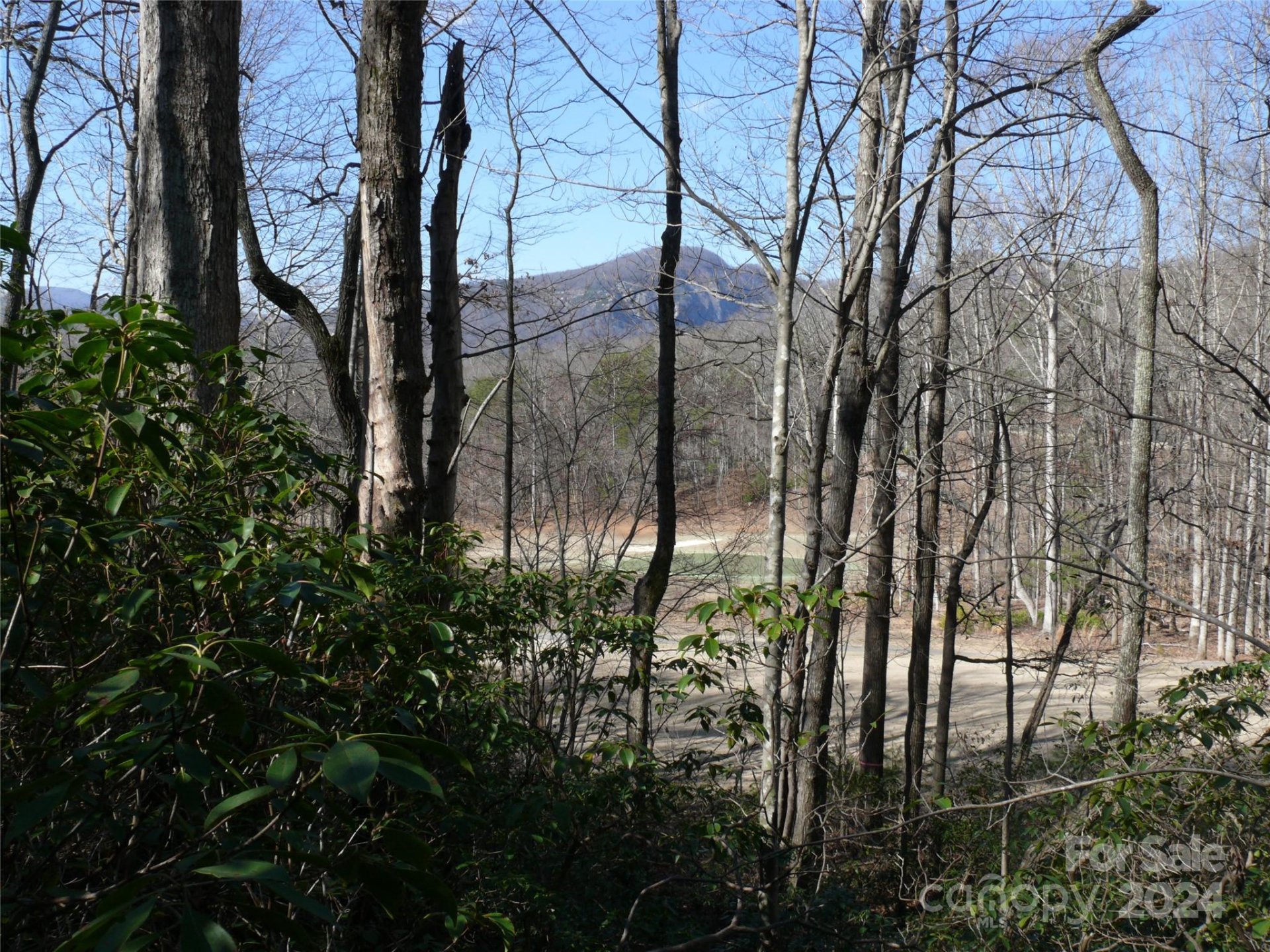 Property image 3 at Lot 56 Winesap Boulevard, Lake Lure, NC 28746