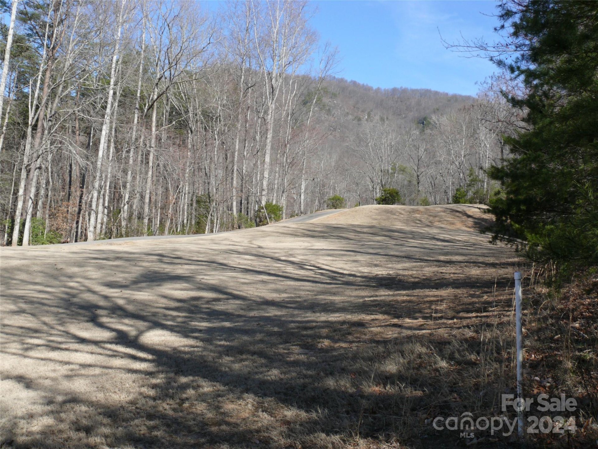 Property image 4 at Lot 56 Winesap Boulevard, Lake Lure, NC 28746