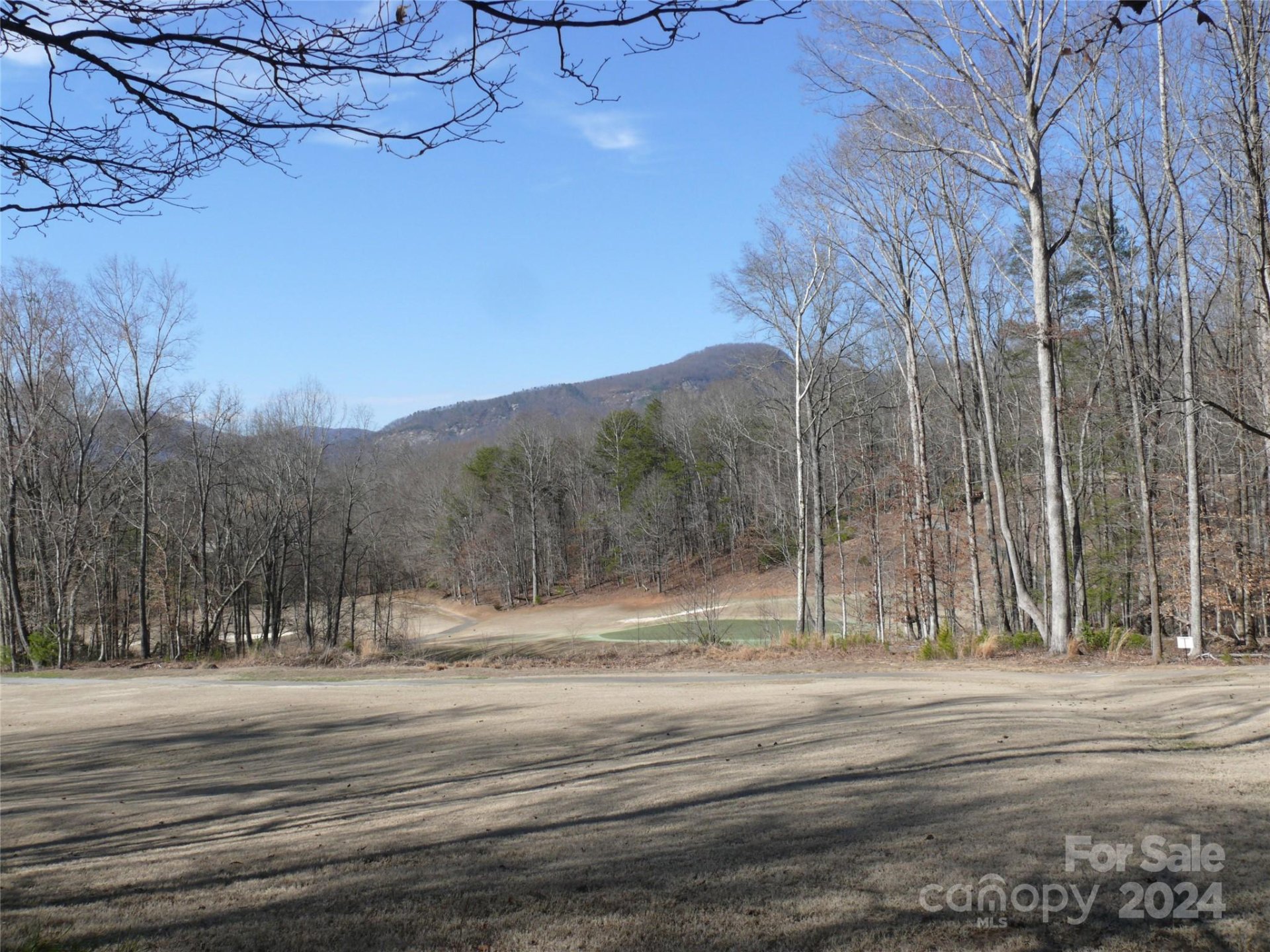 Property image 5 at Lot 56 Winesap Boulevard, Lake Lure, NC 28746
