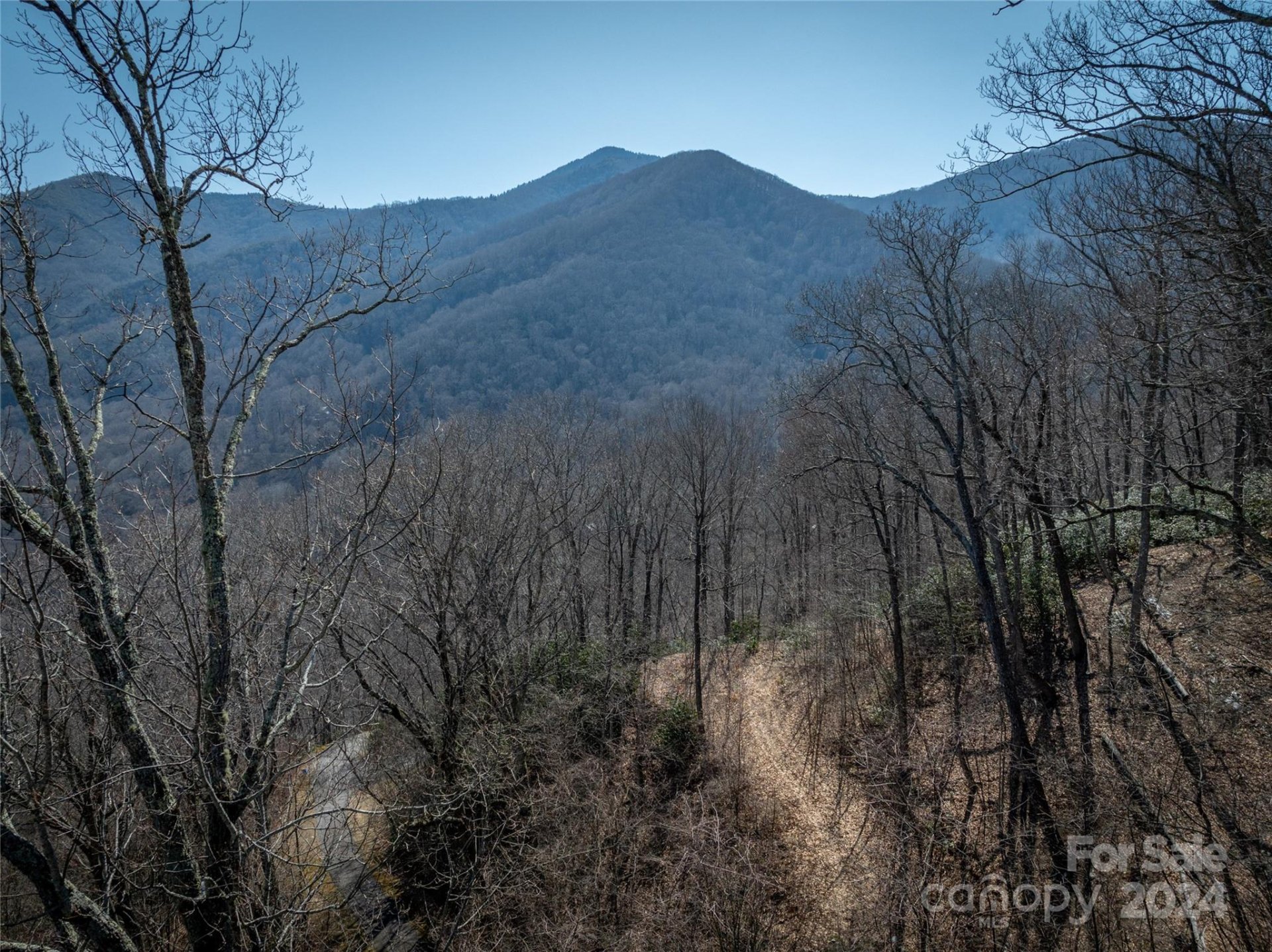 Property image 3 at 58 Kings Ridge Road, Maggie Valley, NC 28751