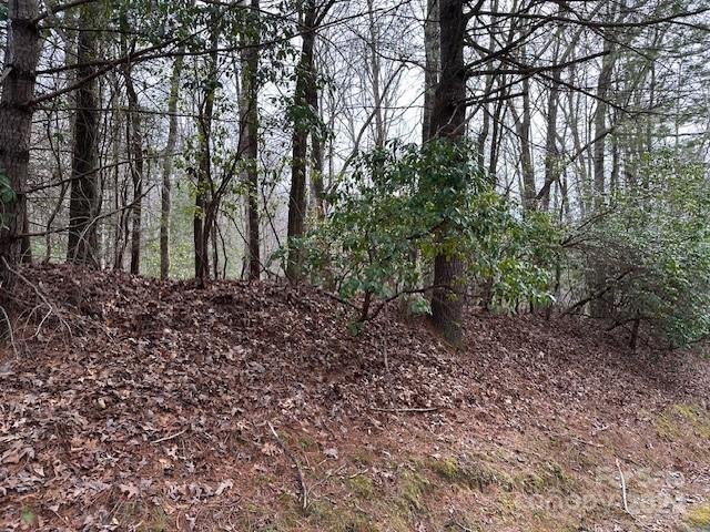 Property image 1 at Tbd Dotsuwa Court, Brevard, NC 28712
