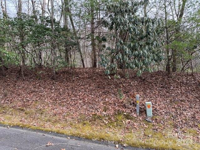 Property image 4 at Tbd Dotsuwa Court, Brevard, NC 28712