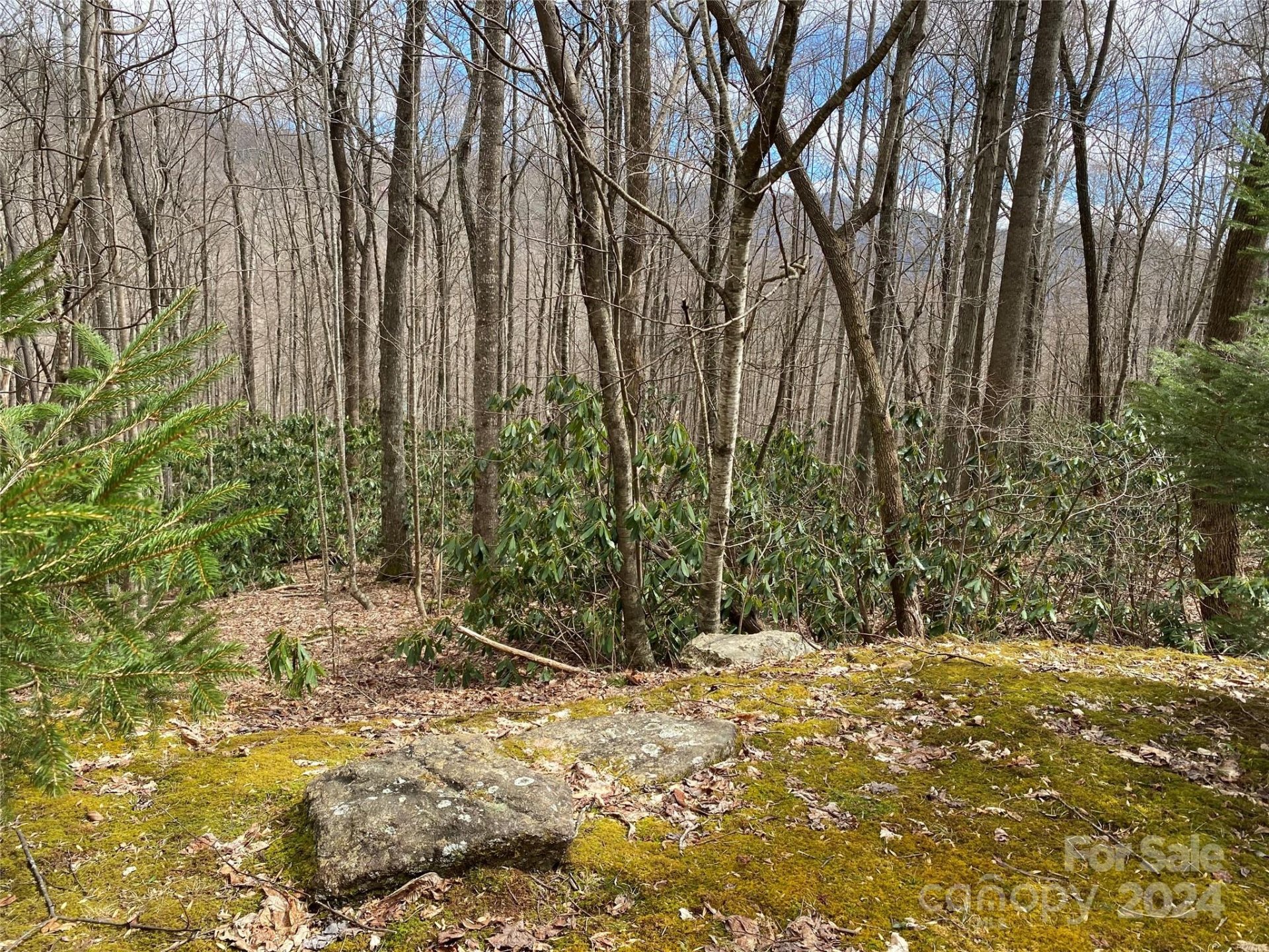29 Wood Haven Lane