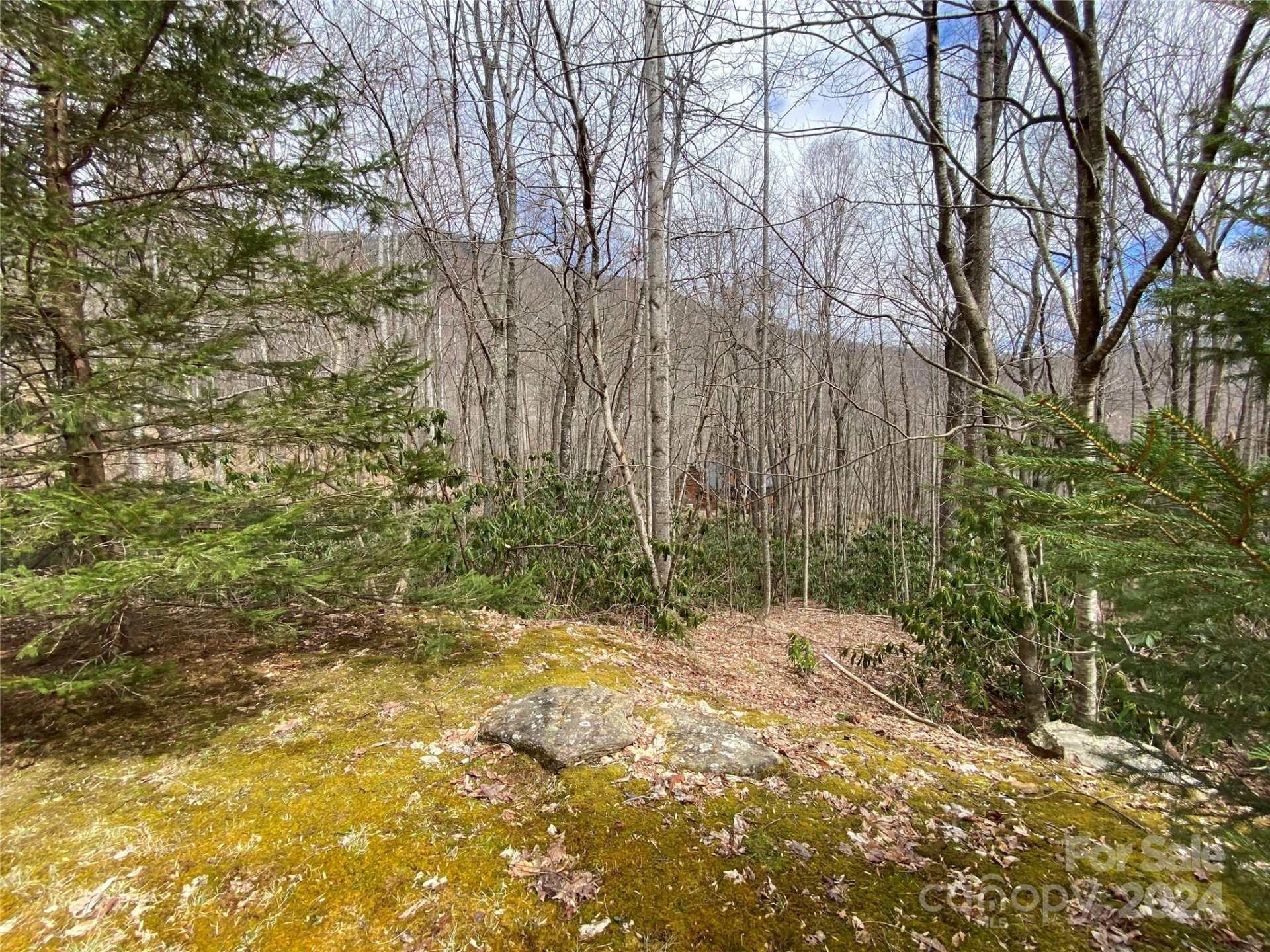 Property image 3 at 29 Wood Haven Lane, Black Mountain, NC 28711