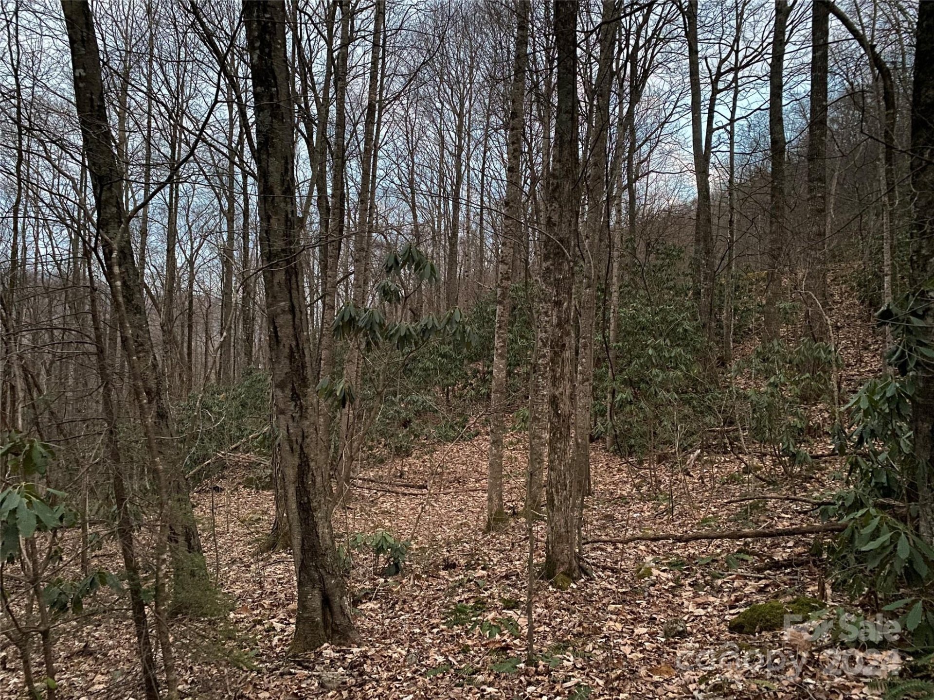 Property image 4 at 29 Wood Haven Lane, Black Mountain, NC 28711