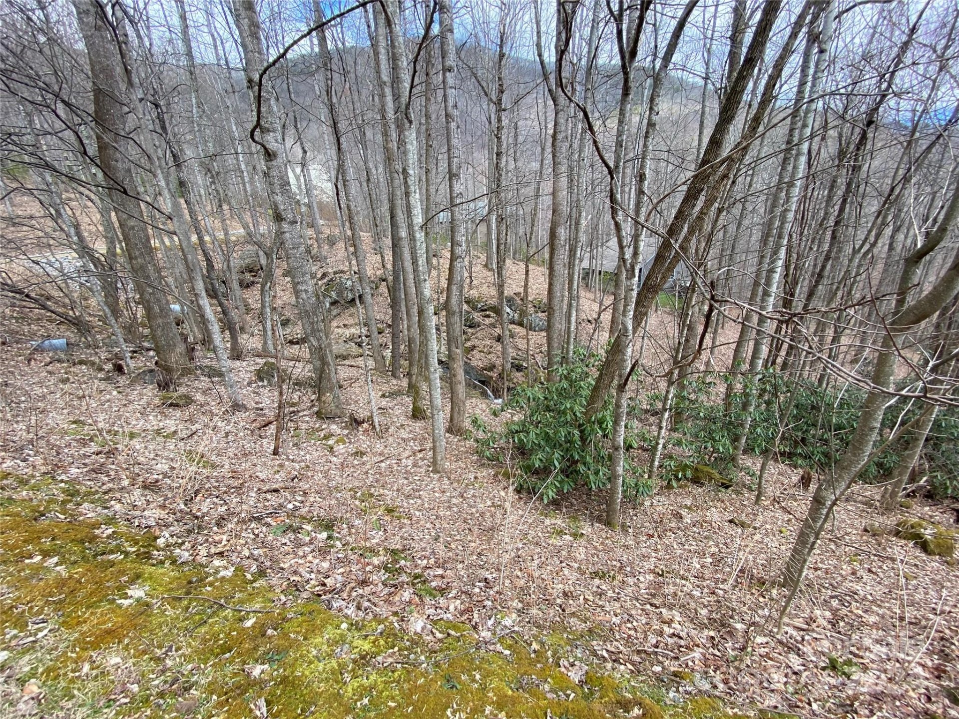 Property image 3 at 55 Great Aspen Way, Black Mountain, NC 28711