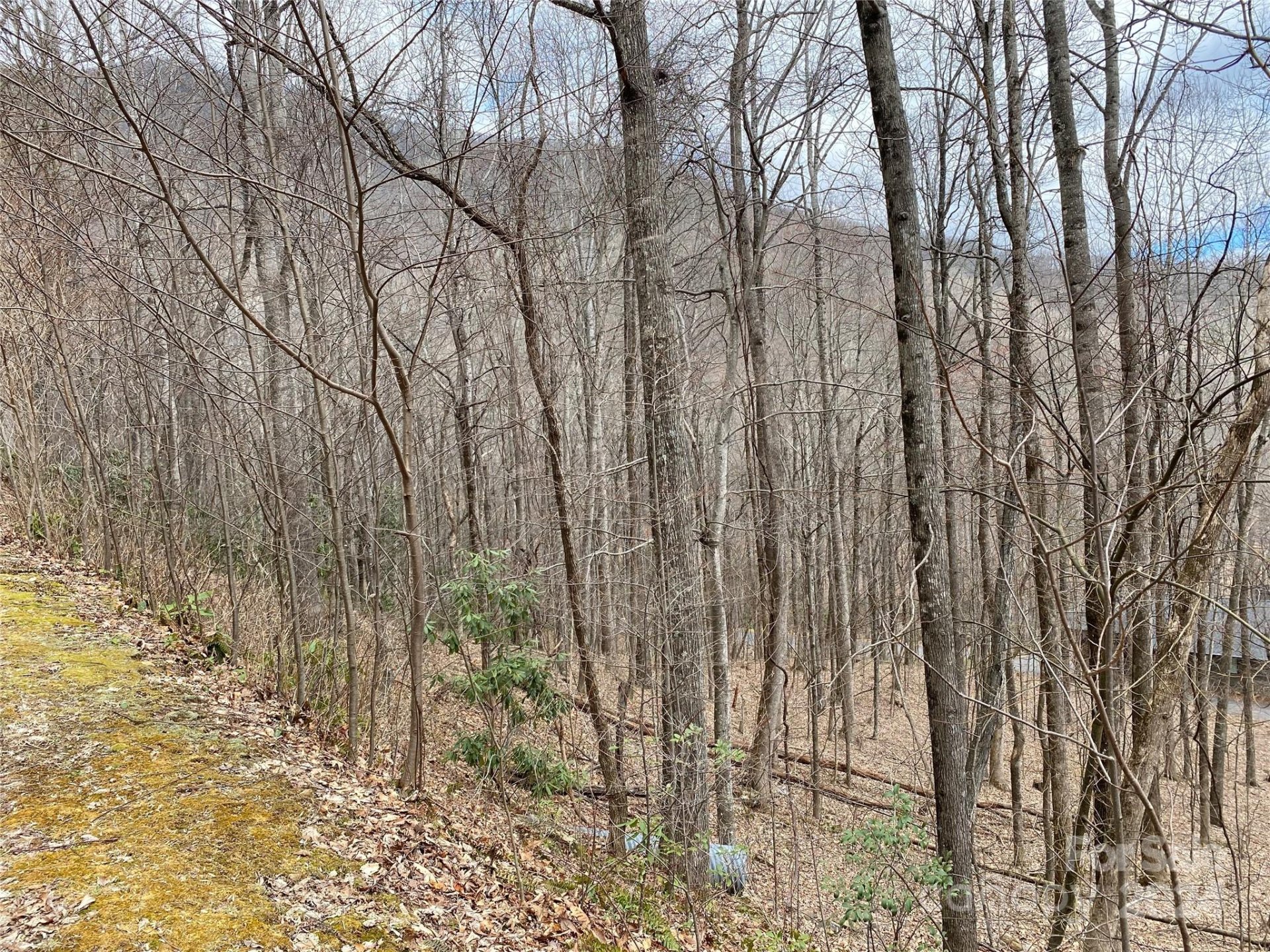 Property image 4 at 55 Great Aspen Way, Black Mountain, NC 28711
