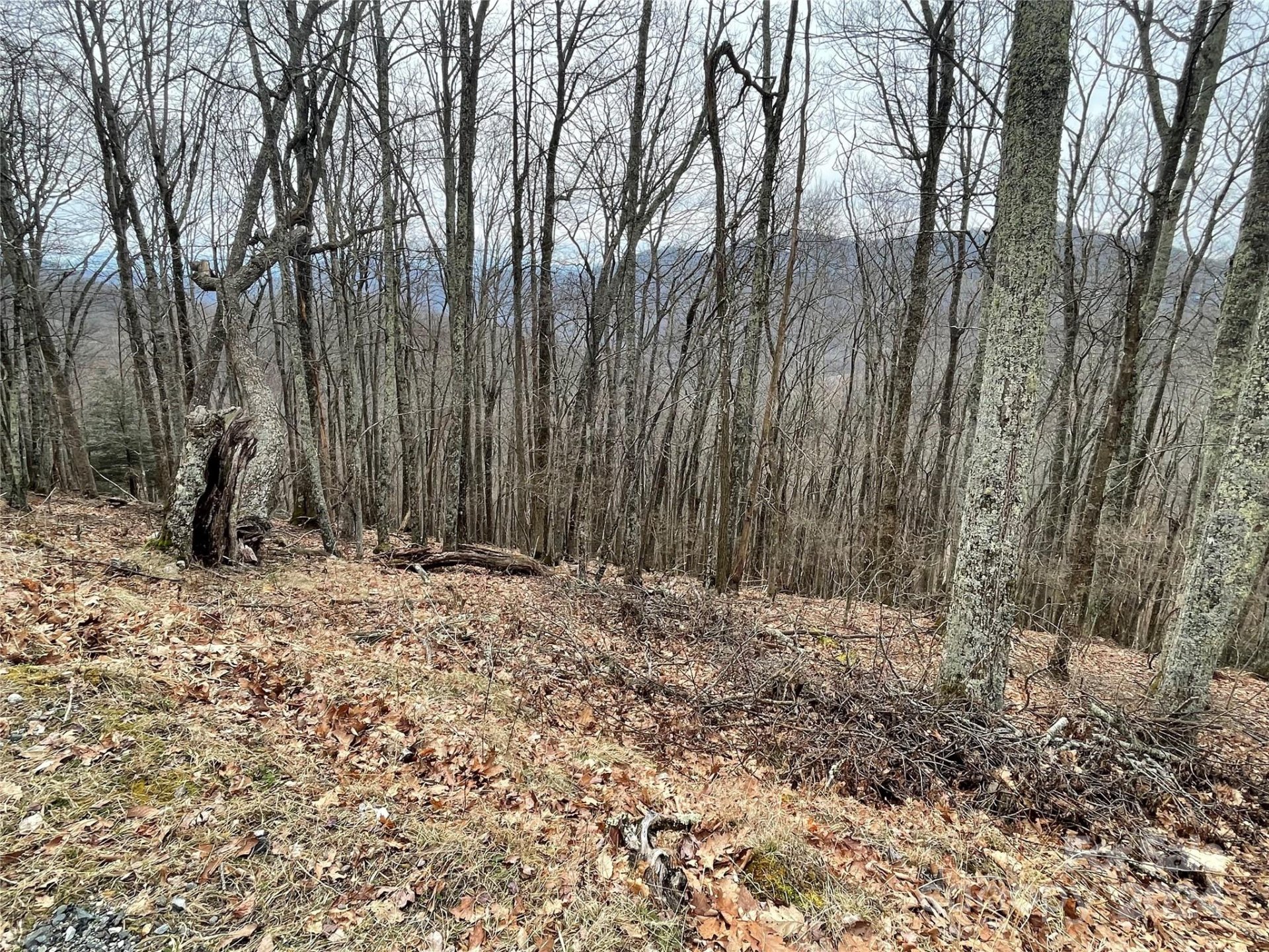 Property at 102 Flame Azalea Lane, Mars Hill, NC 28754