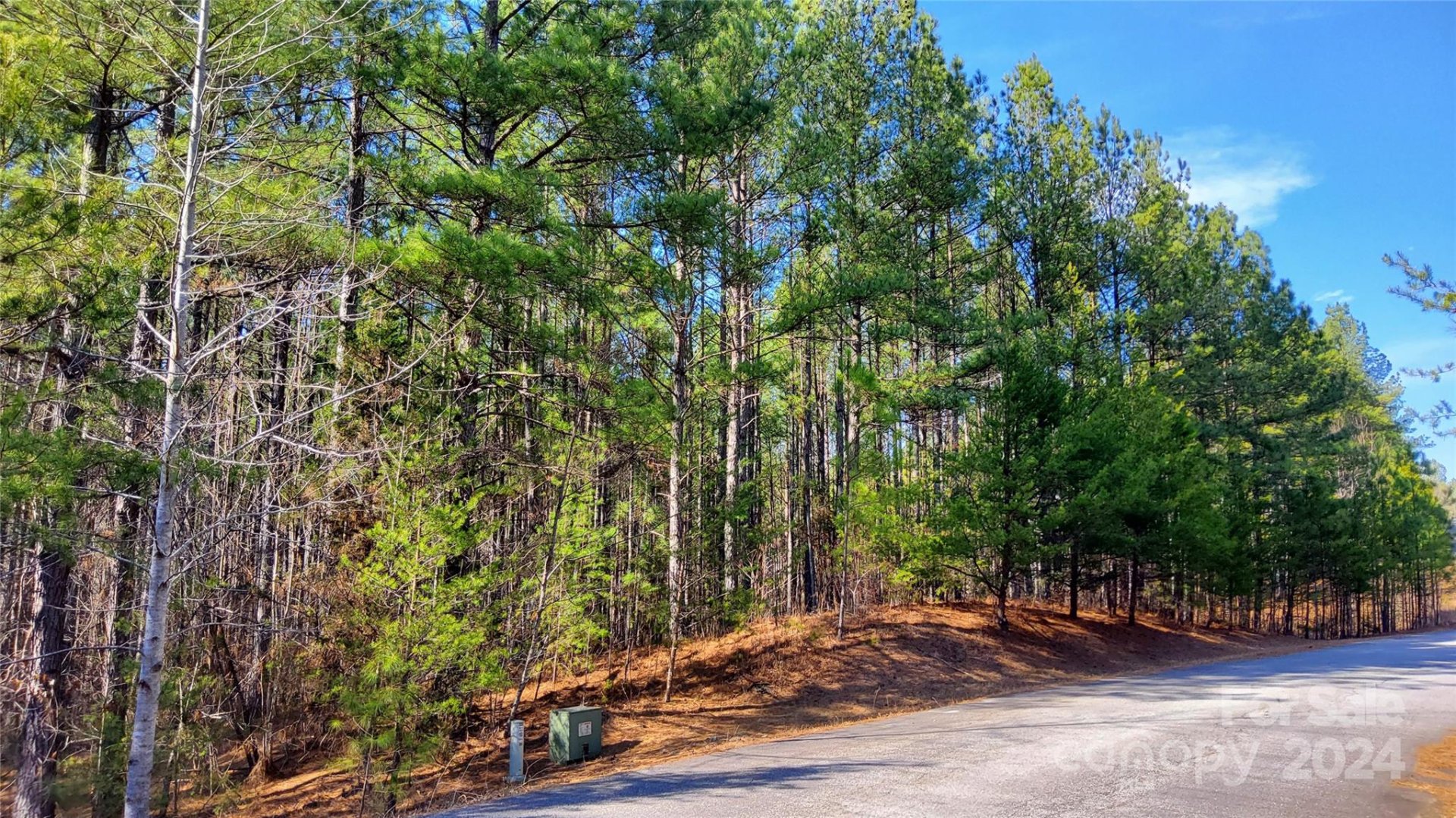 Property image 5 at 0 Sunset Drive, Mill Spring, NC 28756