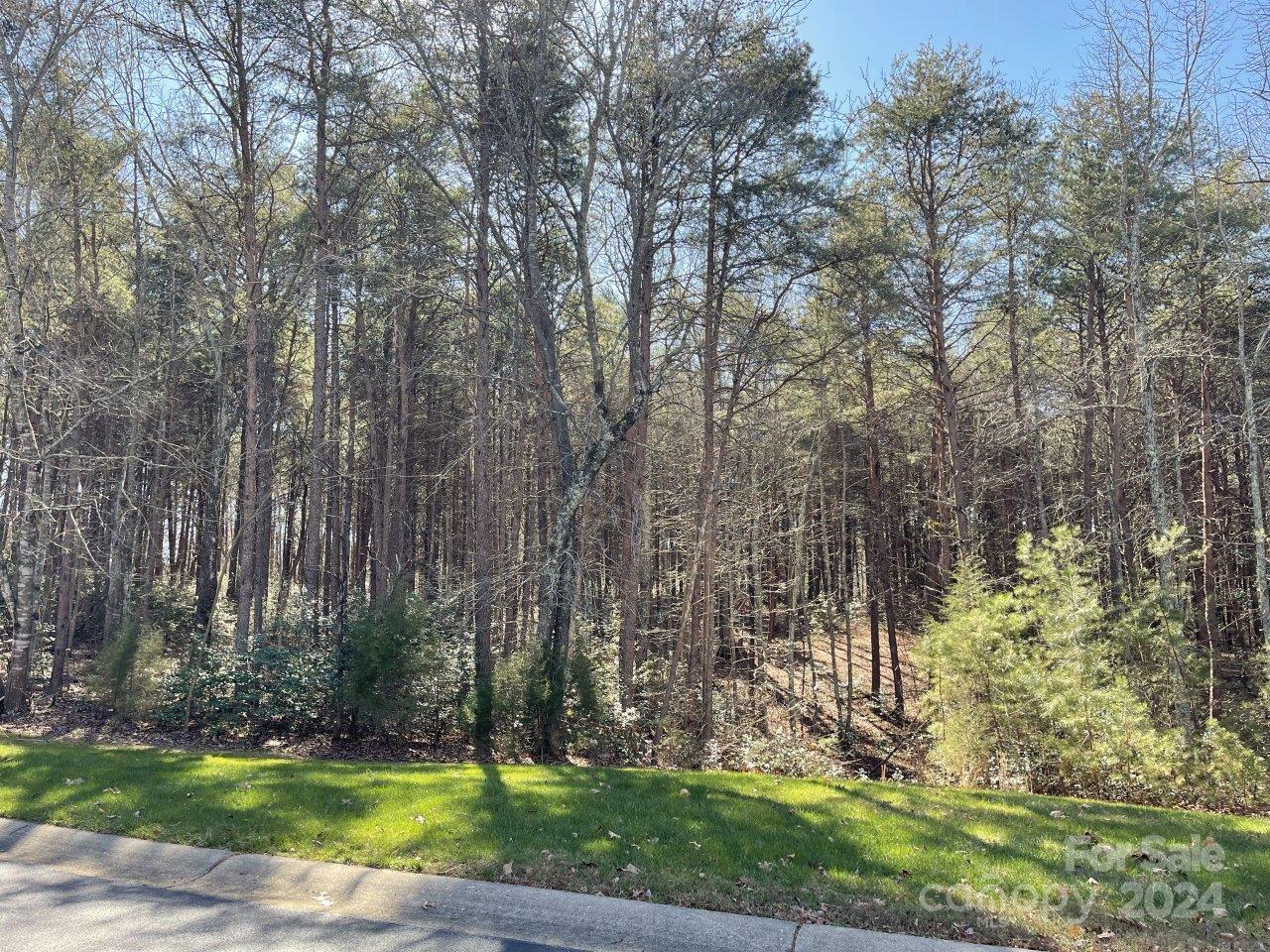 Property image 4 at 196 Porters Glen Lane, New London, NC 28127