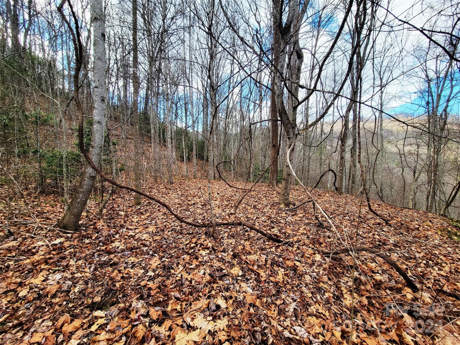 Property image 3 at 275 Sheila Drive, Waynesville, NC 28785