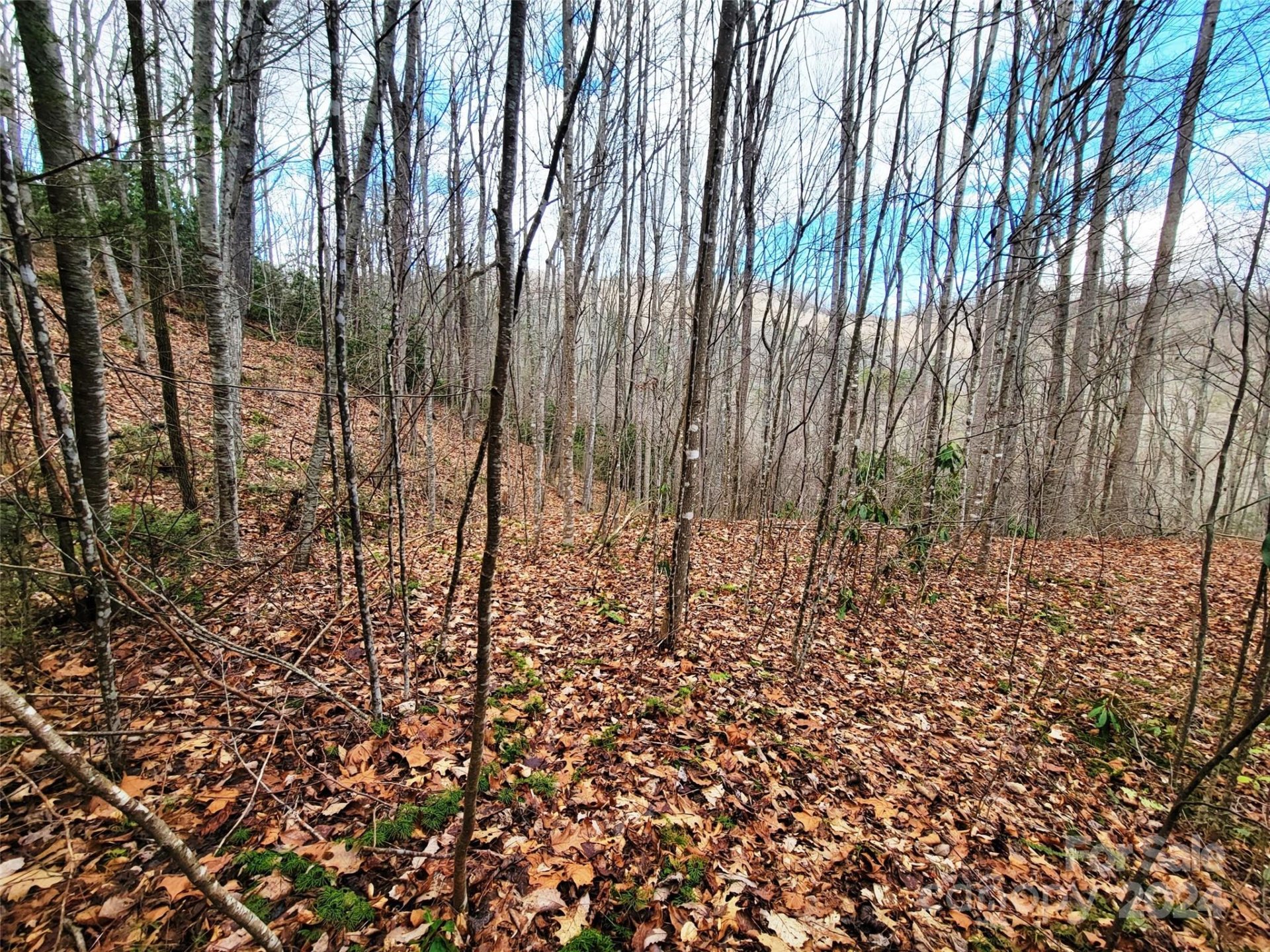 Property image 4 at 275 Sheila Drive, Waynesville, NC 28785
