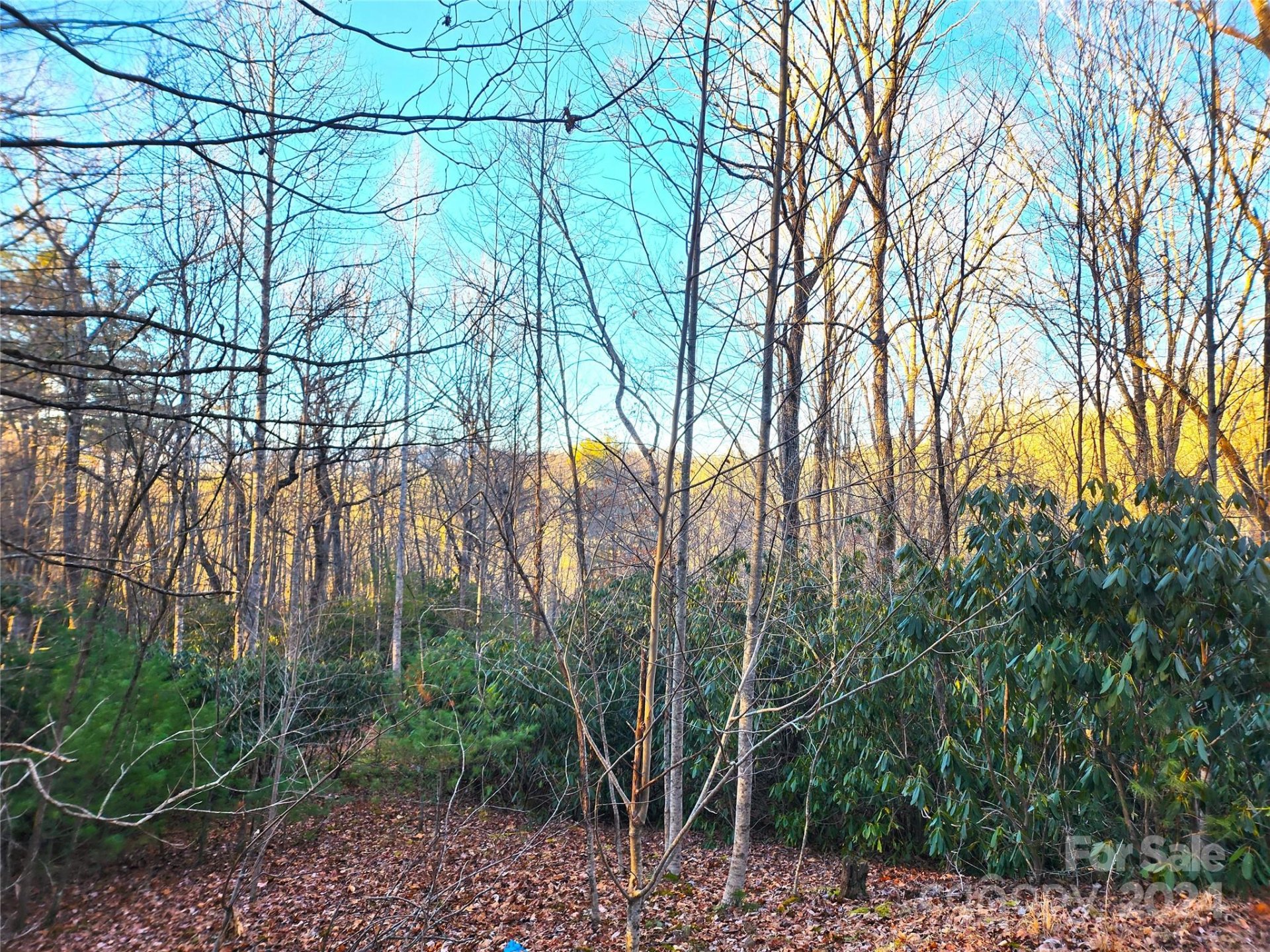 Property image 1 at 0 Campbell Drive, Pisgah Forest, NC 28768