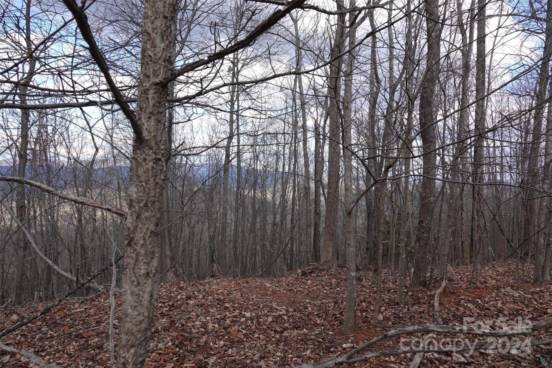 Property image 1 at 49 Peseco Drive, Bostic, NC 28018