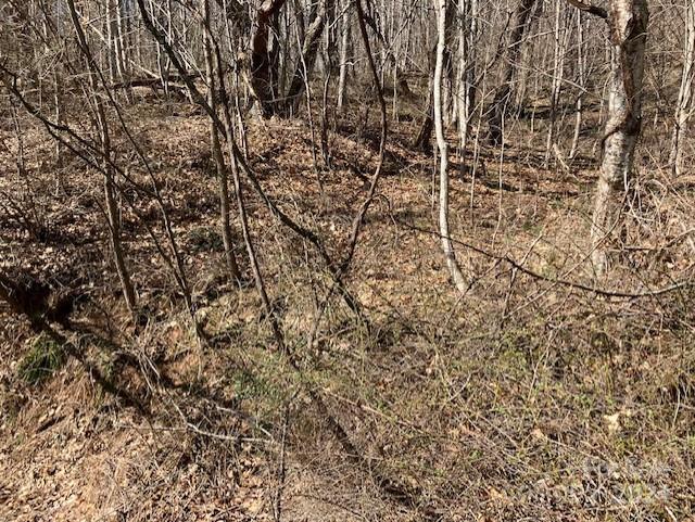 Property image 3 at 00 Wahwah Way, Waynesville, NC 28785