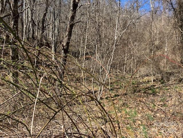 Property image 5 at 00 Wahwah Way, Waynesville, NC 28785