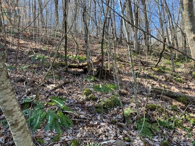 Property image 4 at 00 Wahwah Way, Waynesville, NC 28785