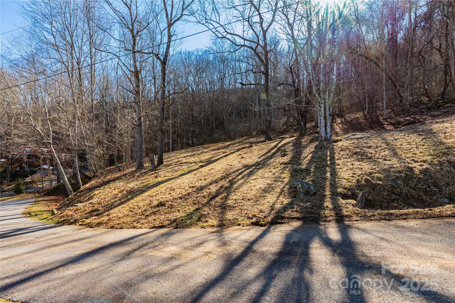 Property image 3 at 000 Evergreen Farm Circle, Waynesville, NC 28786