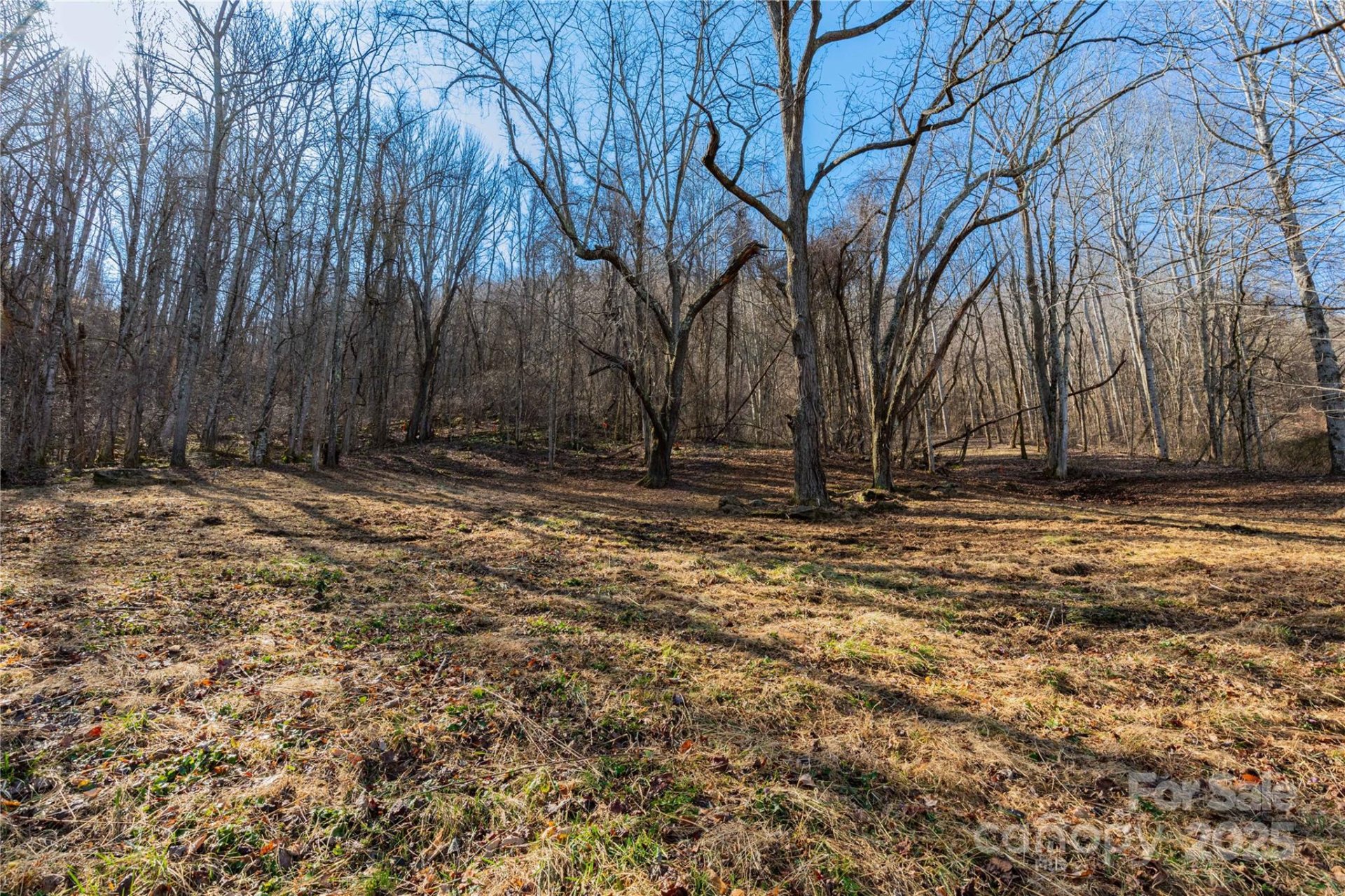 Property image 4 at 000 Evergreen Farm Circle, Waynesville, NC 28786