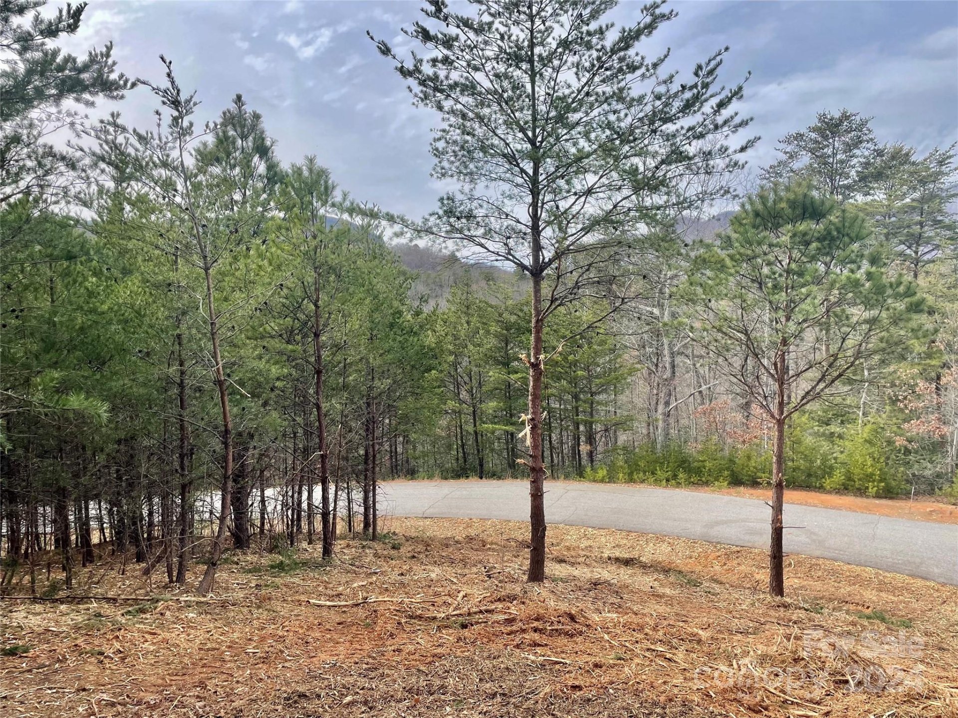 Property image 4 at 0 Clear Creek Trail, Lake Lure, NC 28746