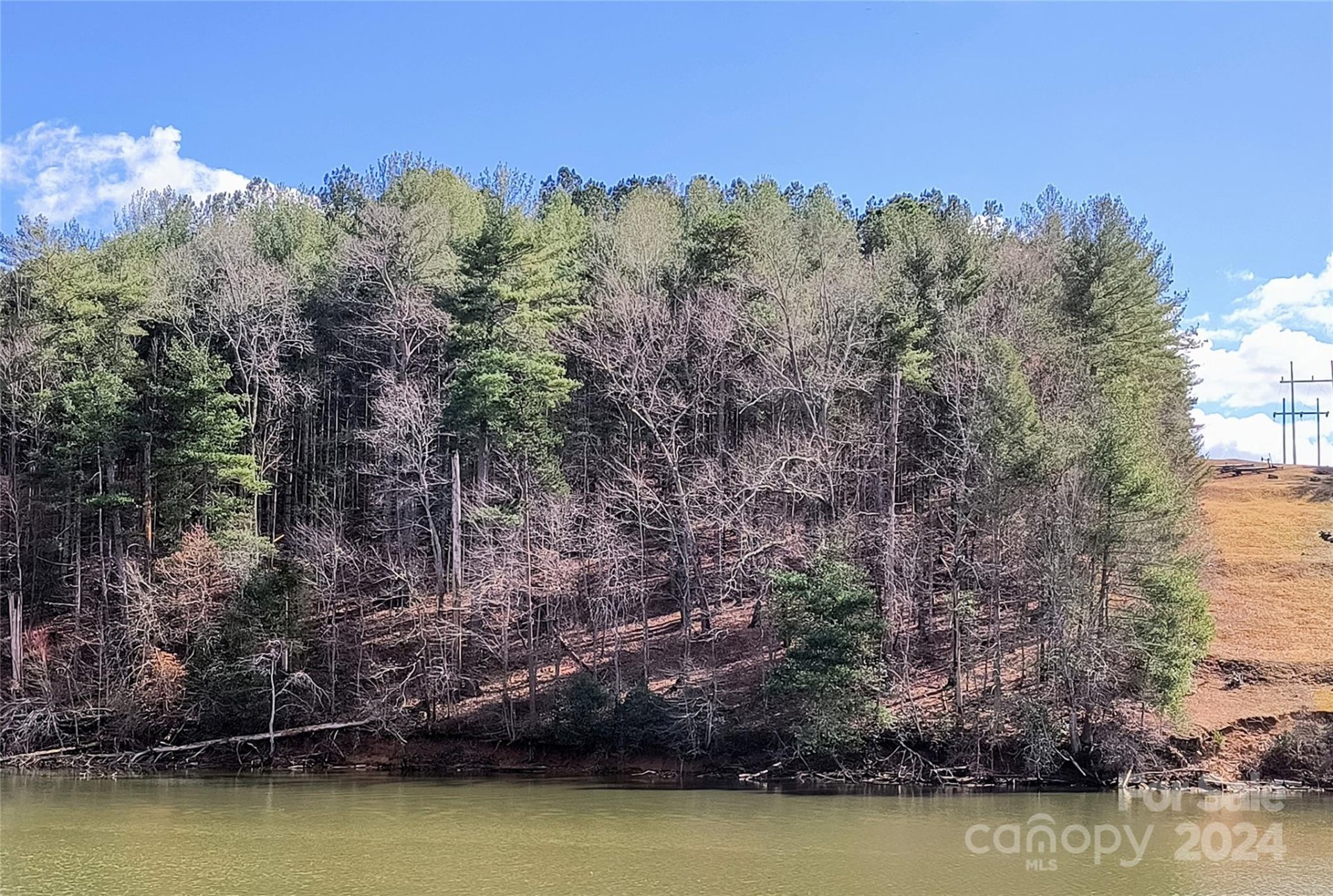 Property image 2 at 42 Peaceful Cove Court, Granite Falls, NC 28630