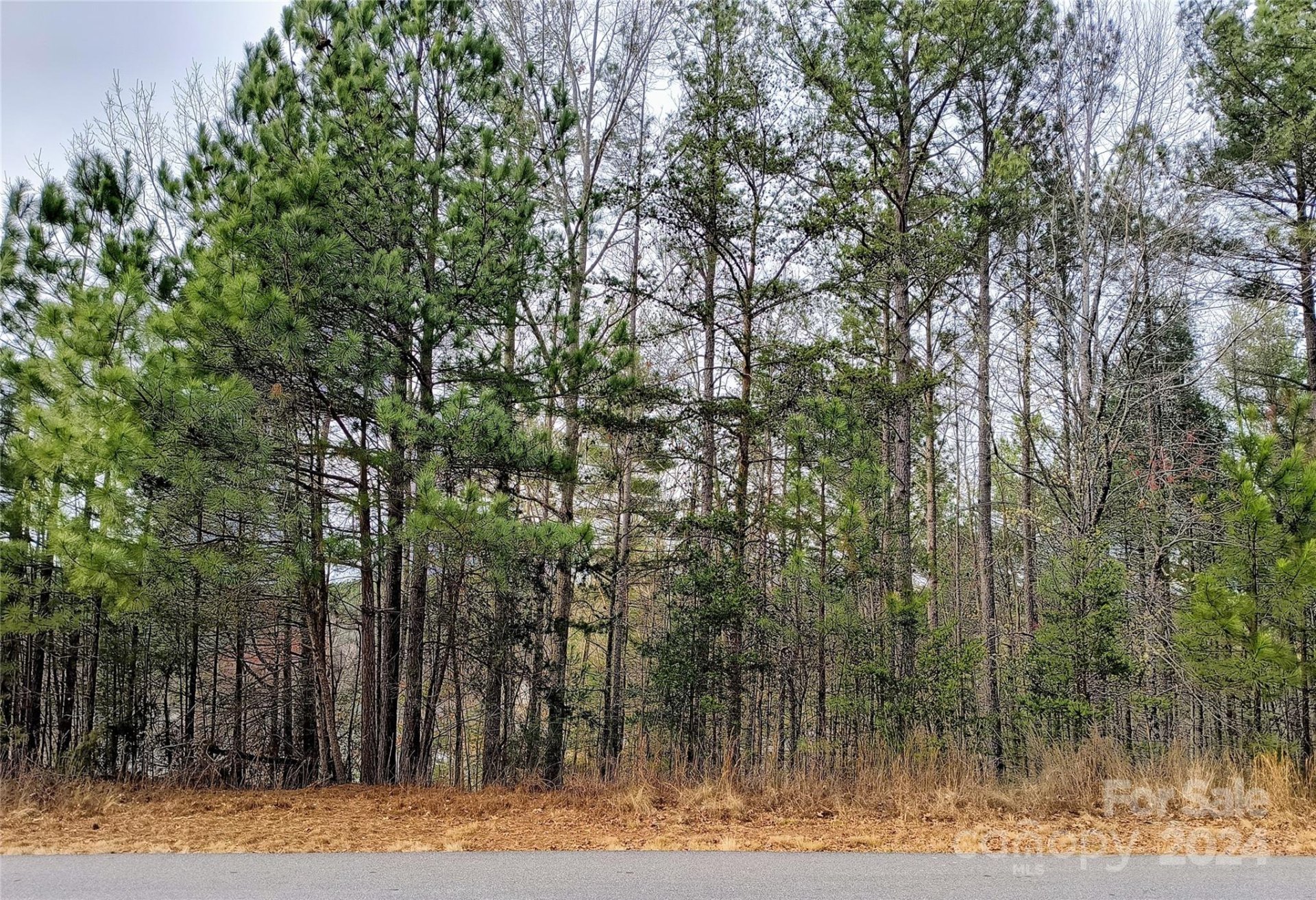 Property image 4 at 42 Peaceful Cove Court, Granite Falls, NC 28630