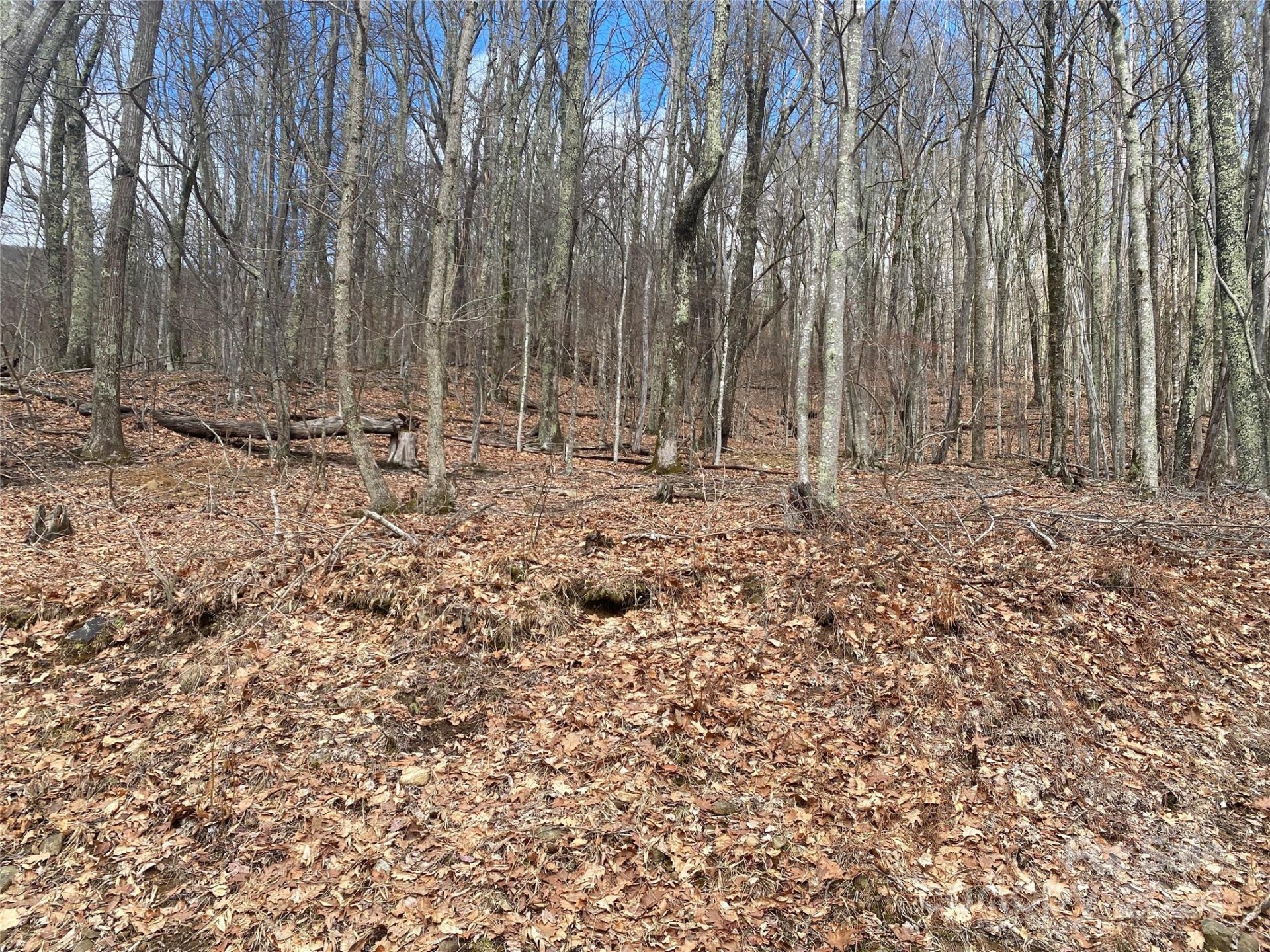 Property image 1 at Tbd Hamlin Lane, Mars Hill, NC 28754