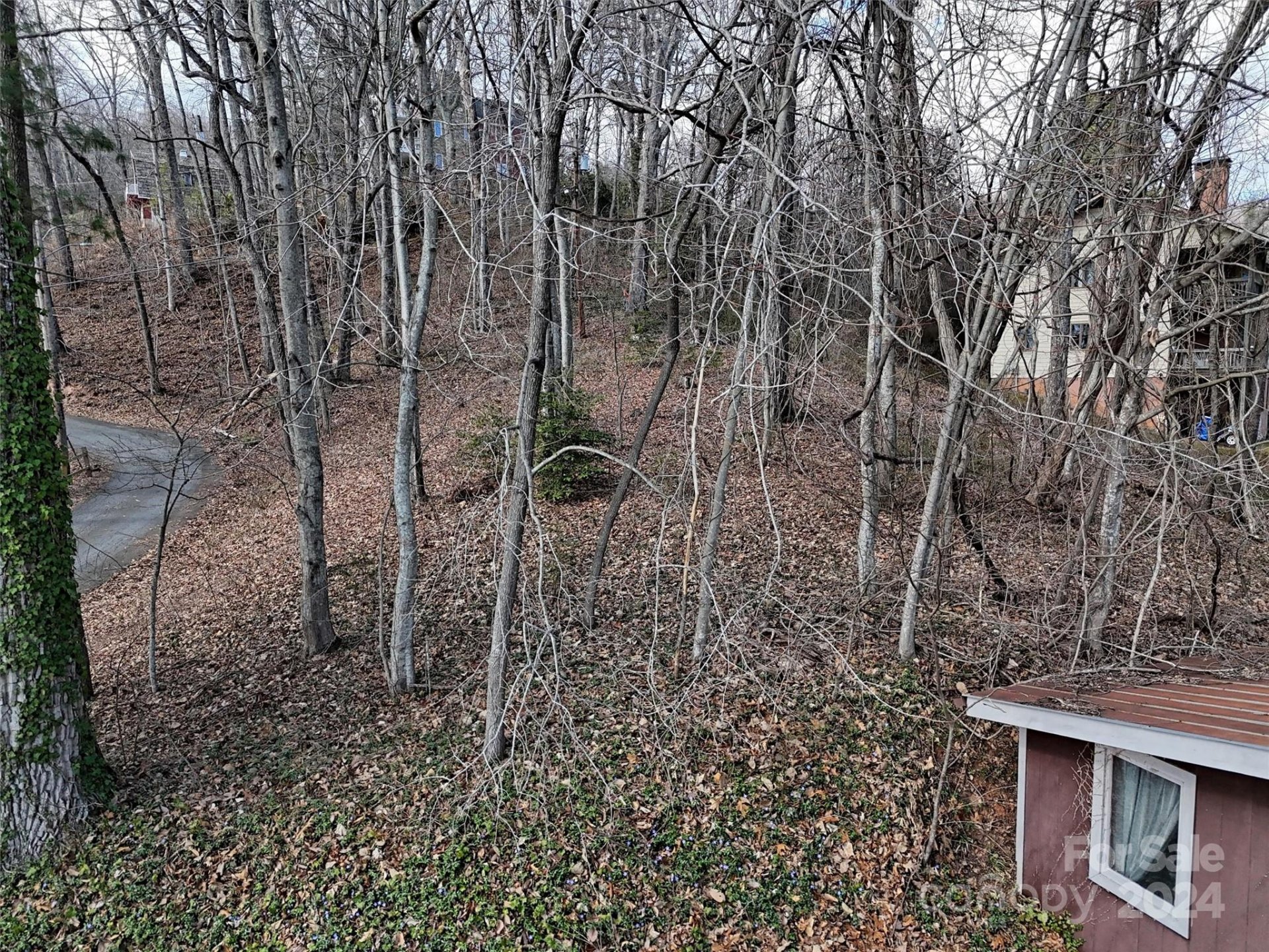 Property image 2 at 96 Kammerer Drive, Waynesville, NC 28785