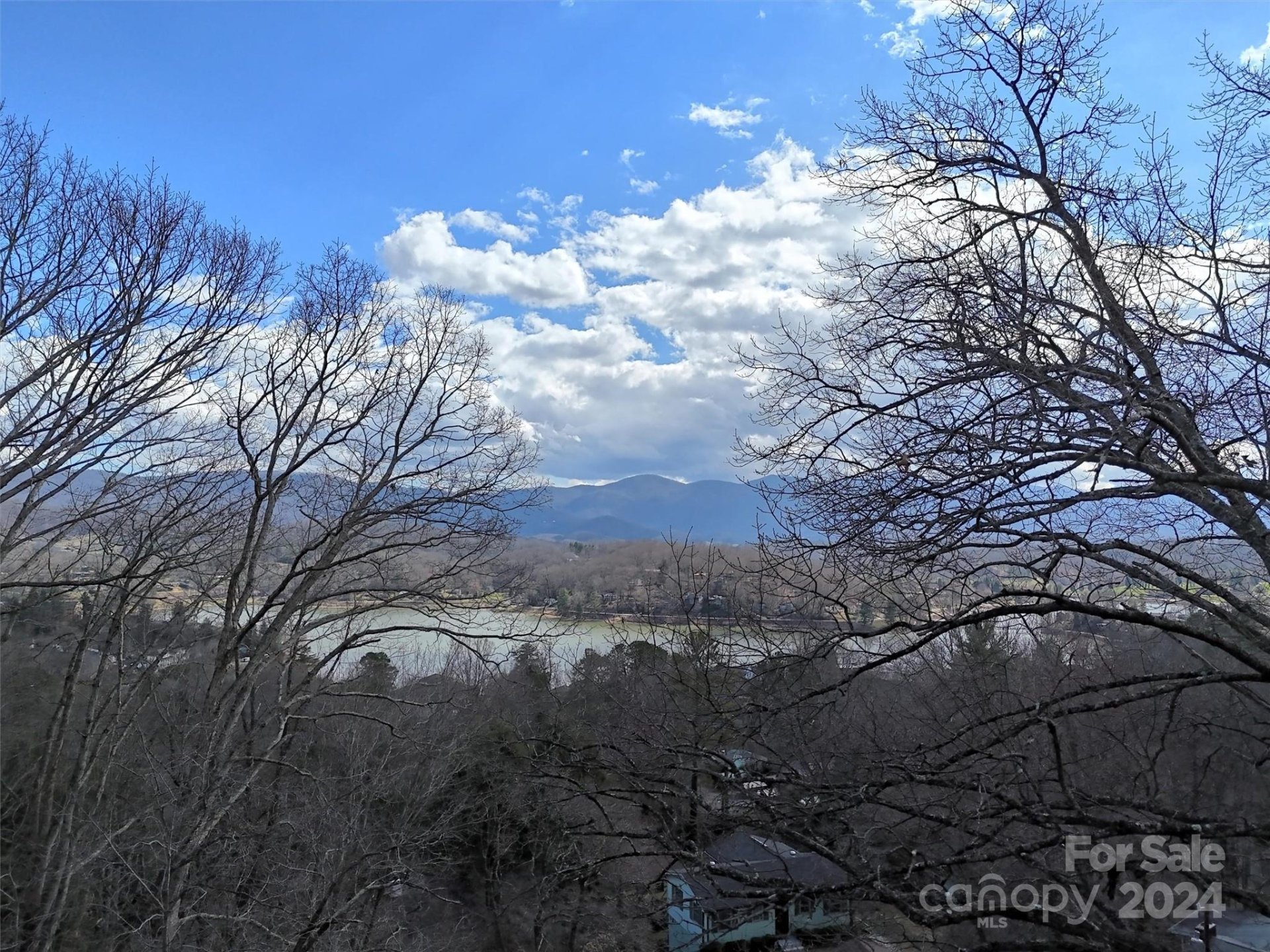 Property image 4 at 96 Kammerer Drive, Waynesville, NC 28785