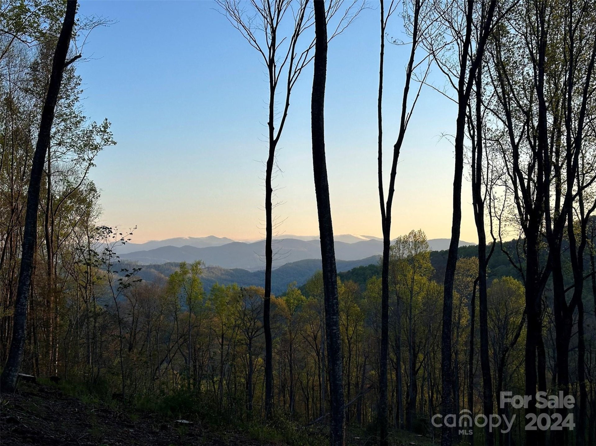 Property image 1 at 0000 West Garden Trail, Hendersonville, NC 28792