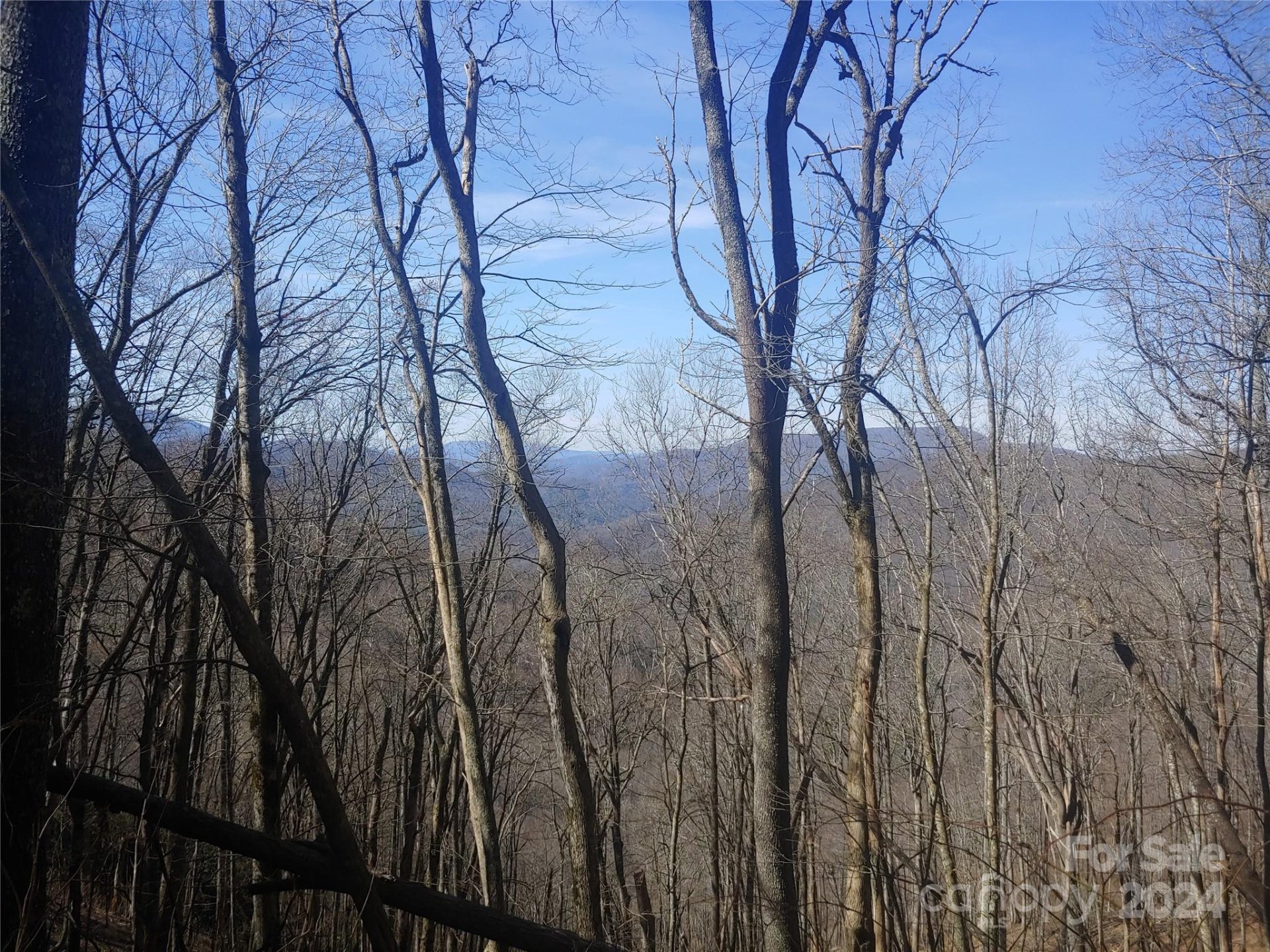 Property at 34 Barn Cove Road, Clyde, NC 28721