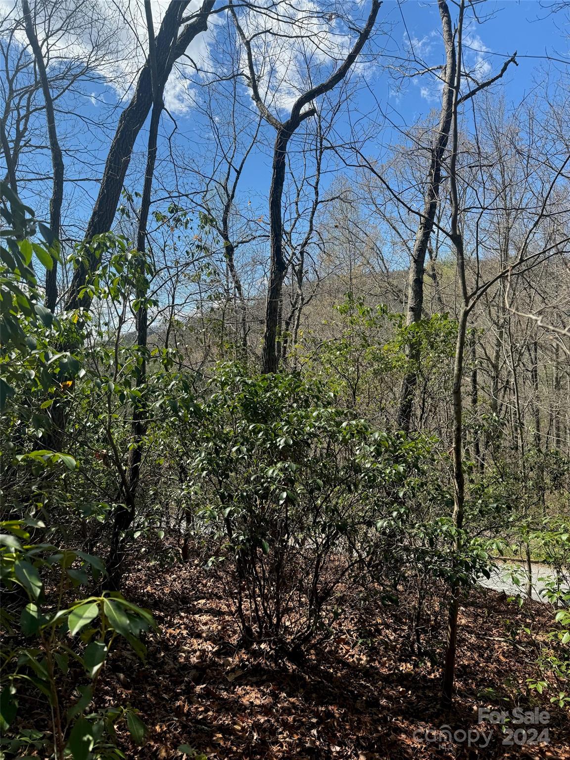 23 Red Oak Drive