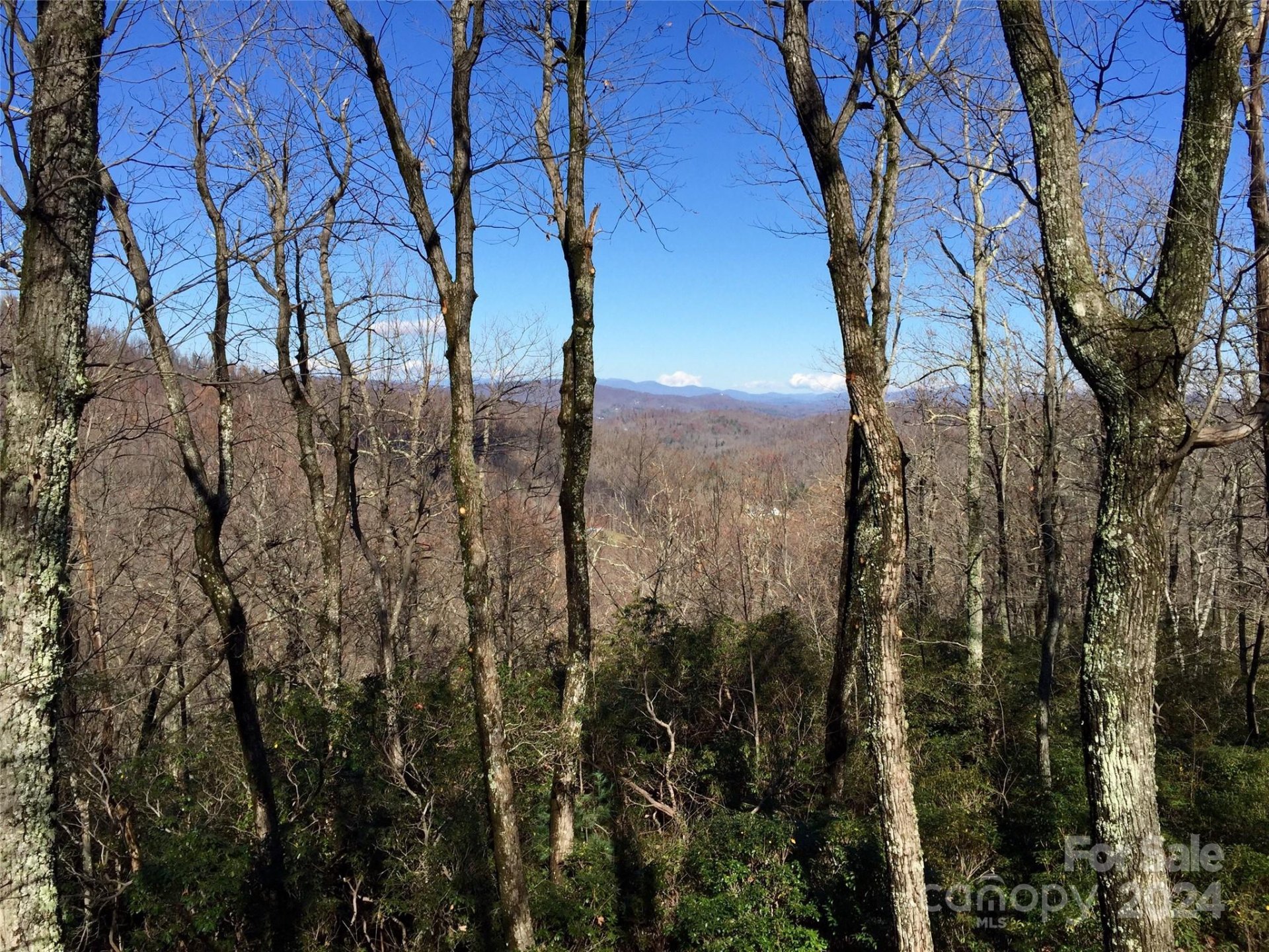 Property image 2 at Lot 18 Panther Mountain Road, Zirconia, NC 28790