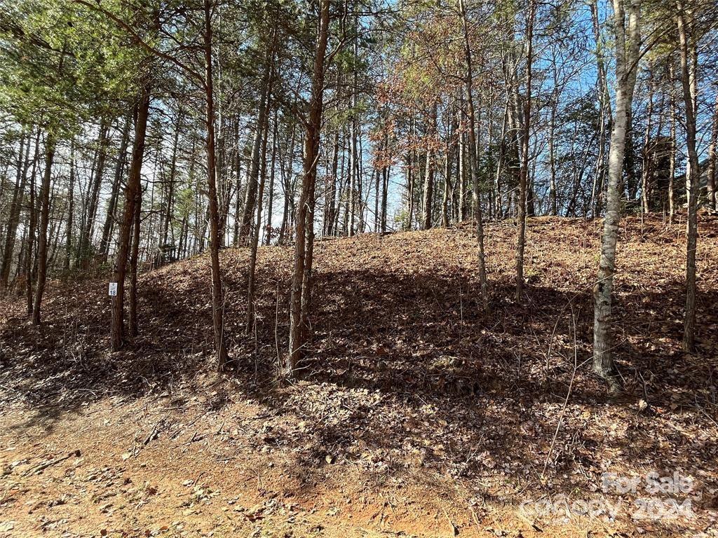 Property image 1 at 139 142 Cheyenne Lane, Statesville, NC 28677