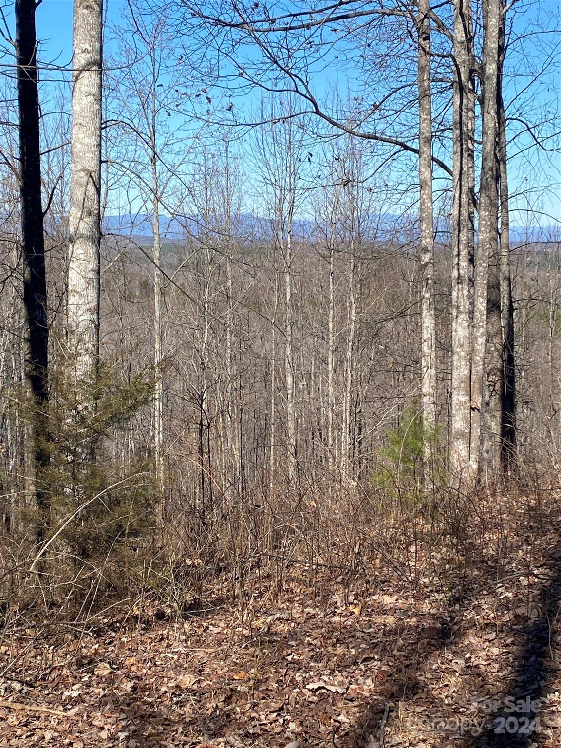 Property image 1 at Tbd Mentinck Drive, Nebo, NC 28761