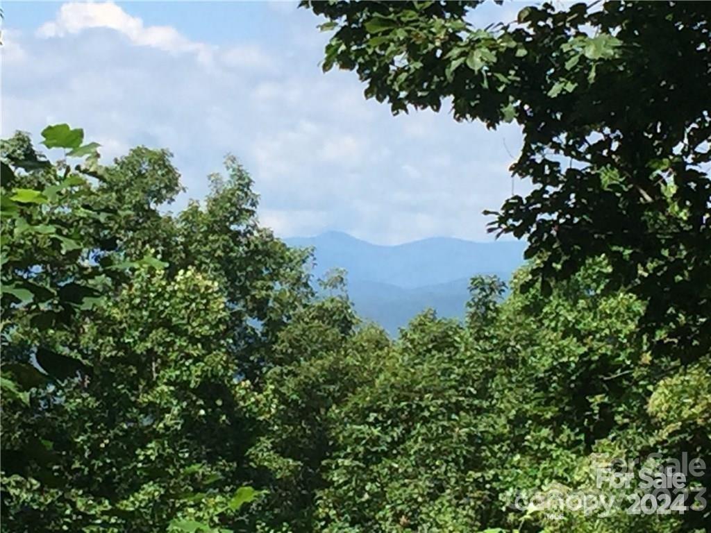 105 Crossvine Trail